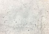 White Carrara Gioia Venatino Marble Slab (polished | rectified | 3/4" thick)