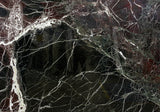 Rosso Levanto Marble Slab (polished | rectified | 3/4" thick)