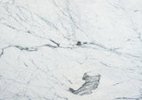 Statuario Altissimo Marble Slab (honed | rectified)