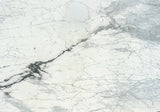 Statuary Corchia Marble Slab (polished | rectified)