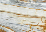 Vecchia Antico Marble Slab (polished | rectified)