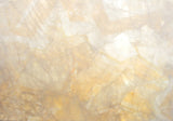 ONYX SLABS: Ivory Slab (polished | rectified)