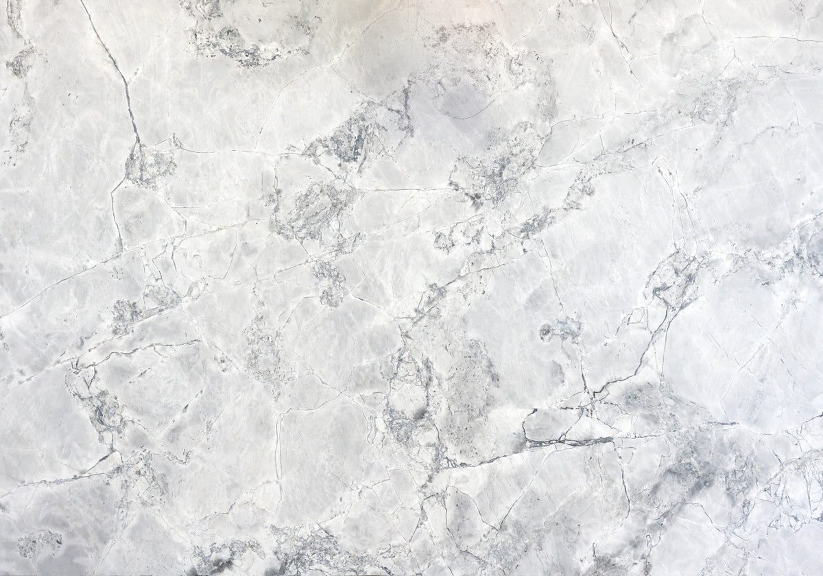 Marble Systems Quartzite Slabs Blanc matte quartzite tile — available at Surface Group