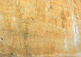 Thesaurus Quartzite Slab (polished | rectified | lot 2)