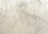 Tahiti Quartzite Slab (polished | rectified)