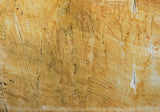 Thesaurus Quartzite Slab (polished | rectified | lot 1)