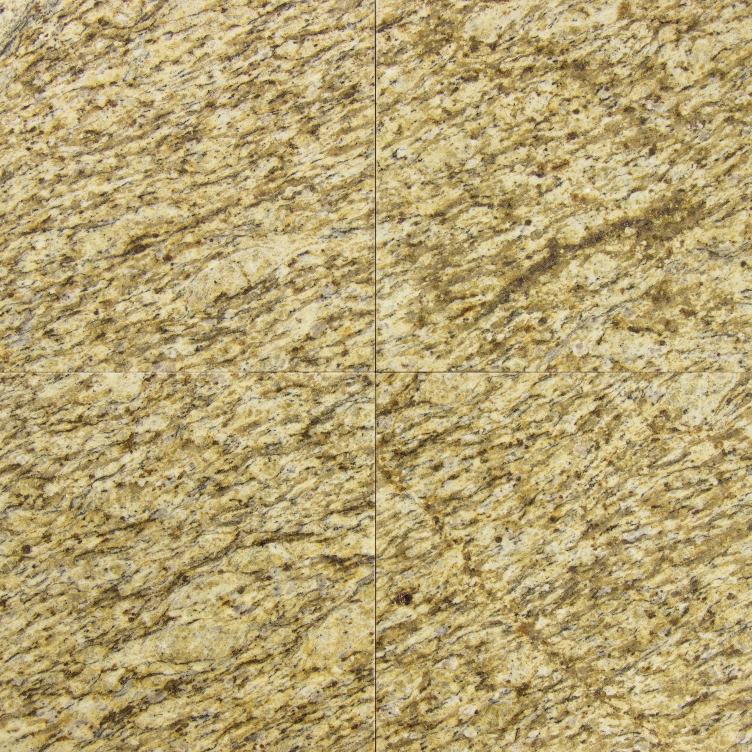 GIALLO ORNAMENTAL: Granite Square Field Tile (12"x12"x3/8" | Polished)