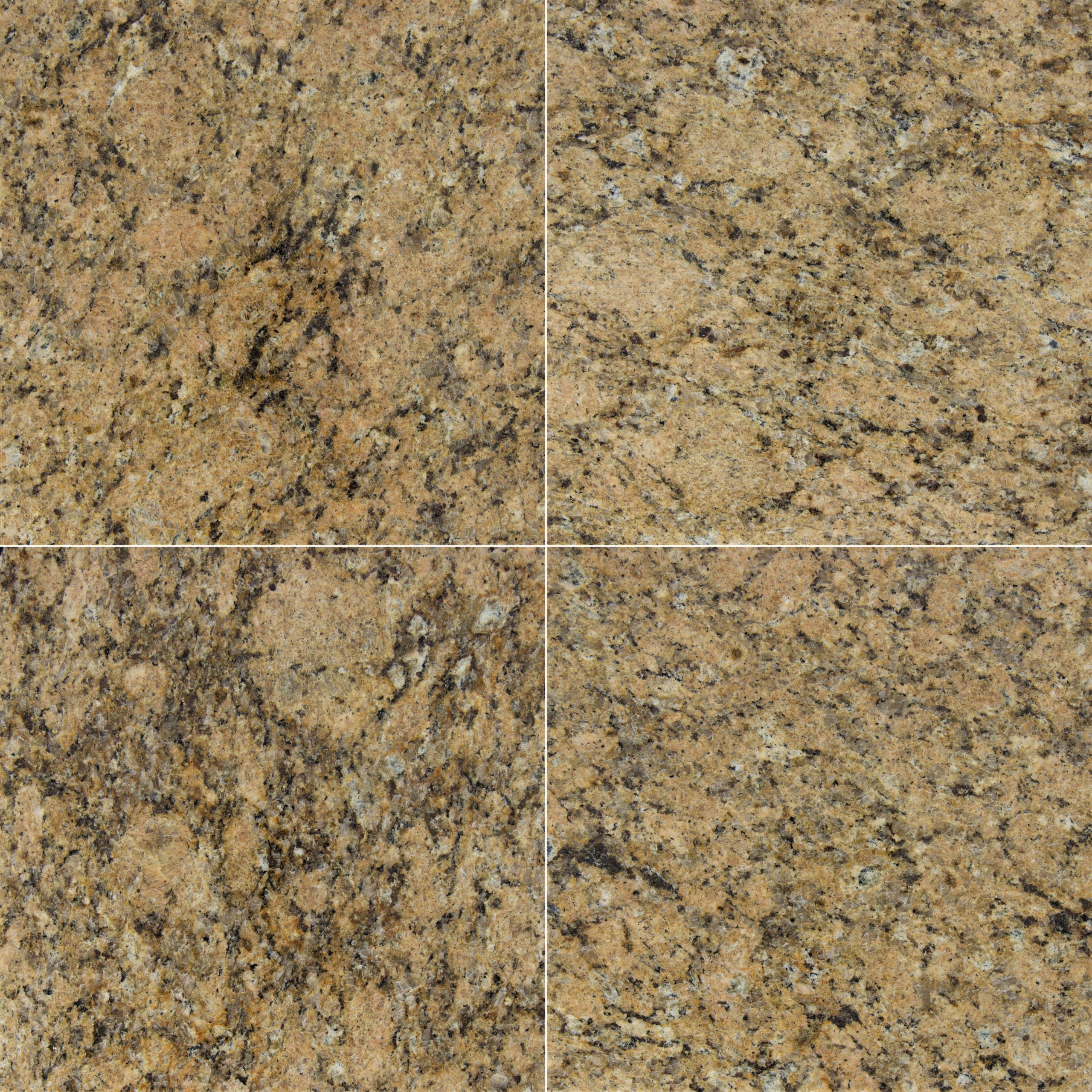 GIALLO VENEZIANO: Granite Square Field Tile (12"x12"x3/8" | Polished)