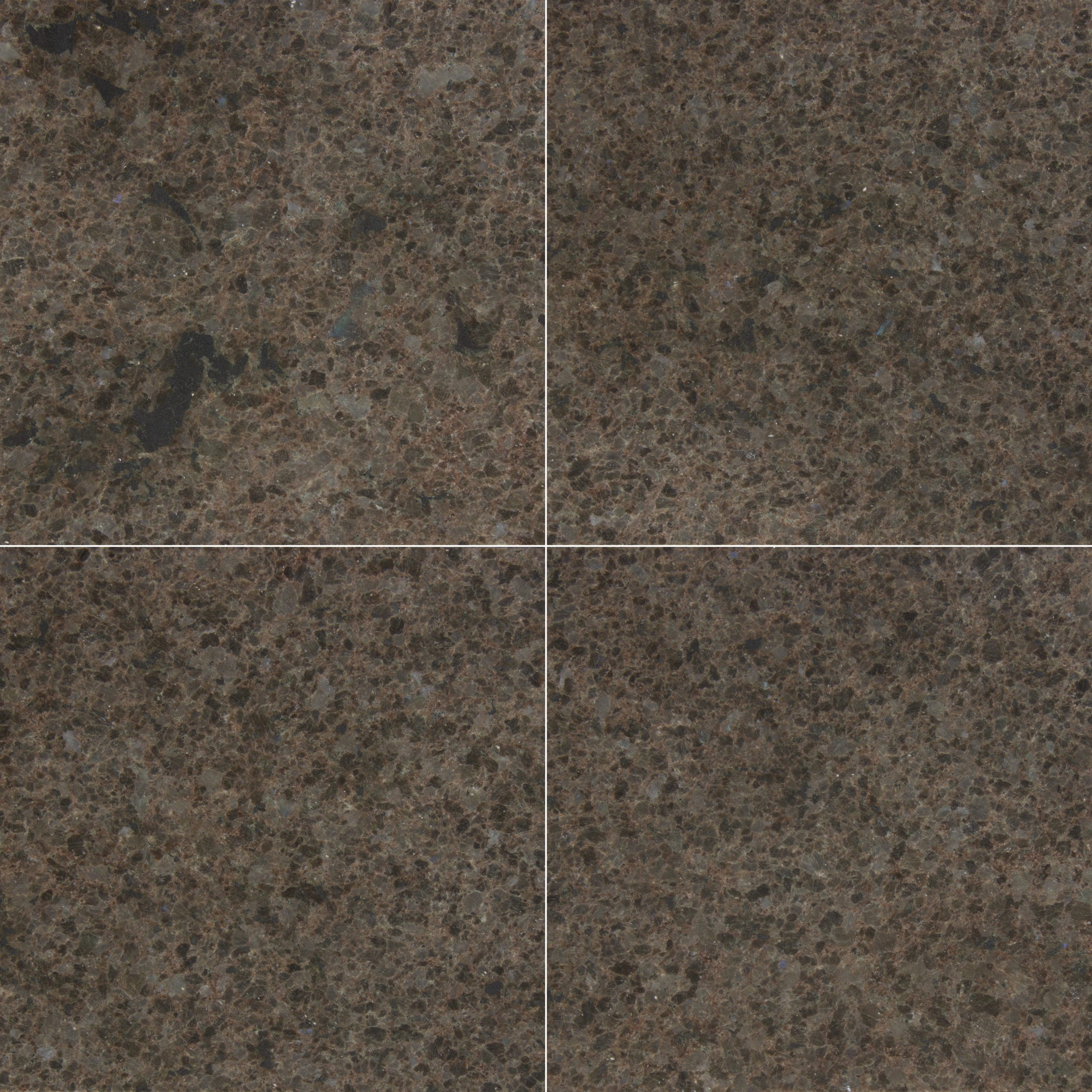 LABORADOR ANTIQUE: Granite Square Field Tile (12"x12"x3/8" | Polished)