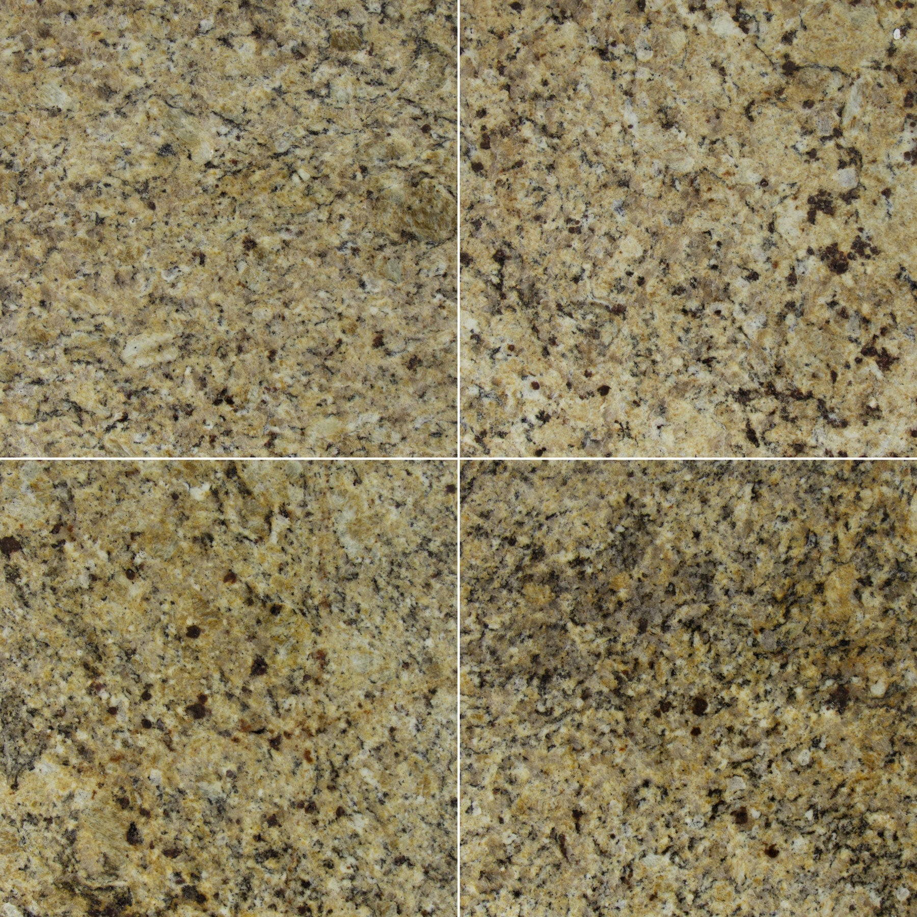 VENETIAN GOLD: Granite Square Field Tile (12"x12"x3/8" | Polished)