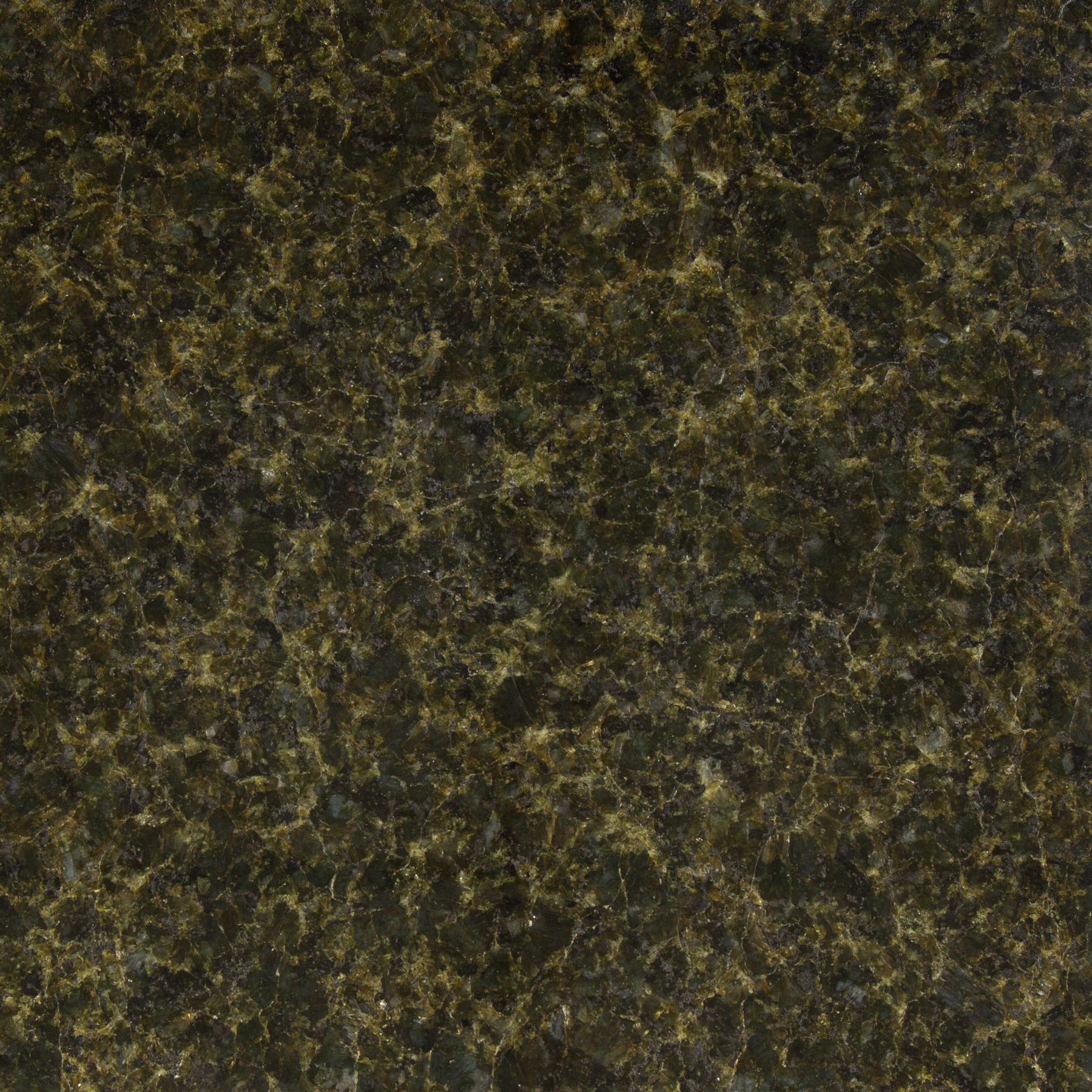 VERDE BUTTERFLY: Granite Square Field Tile (12"x12"x3/8" | Polished)