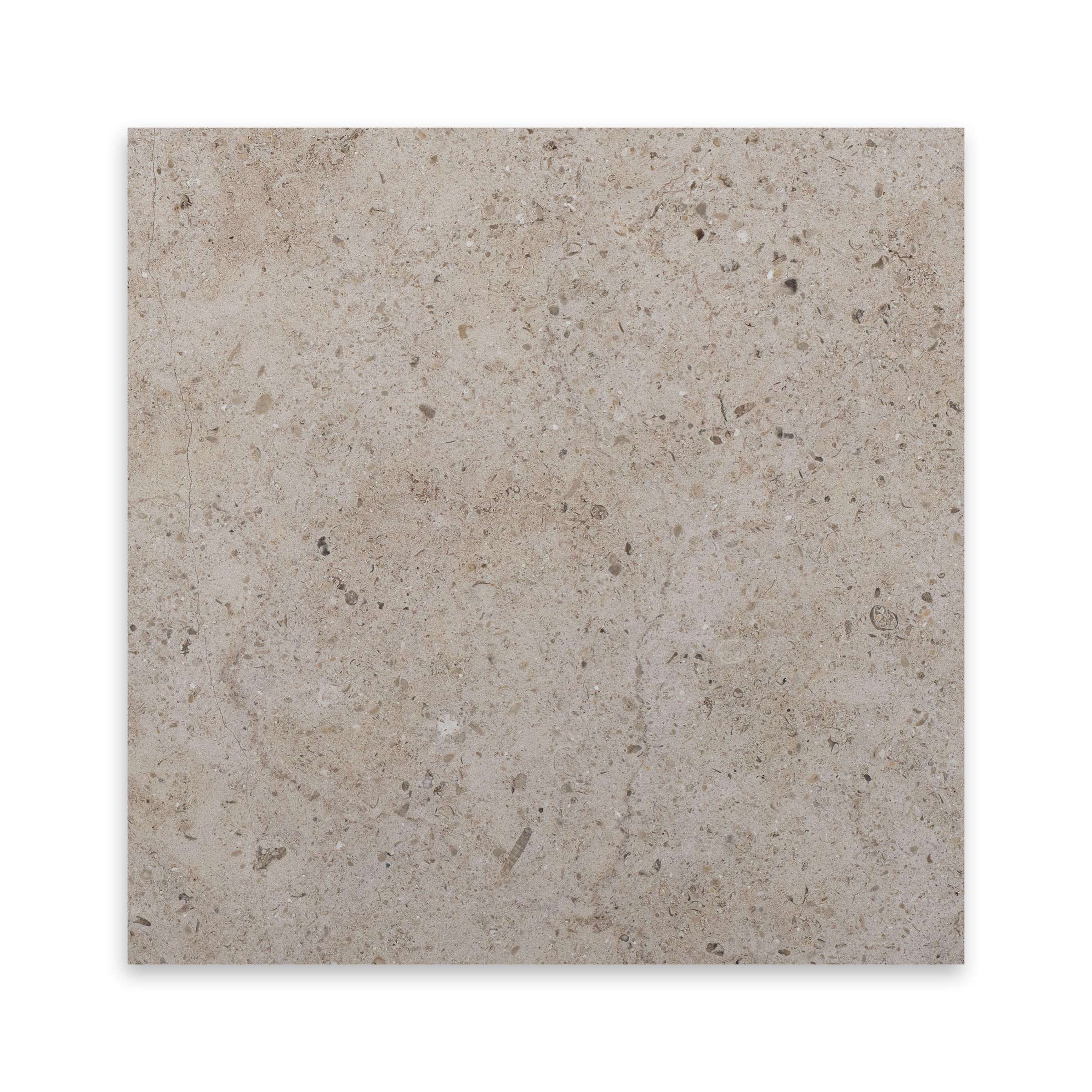 GASCOGNE BEIGE: Limestone Square Field Tile (18"x18"x1/2" | Honed)