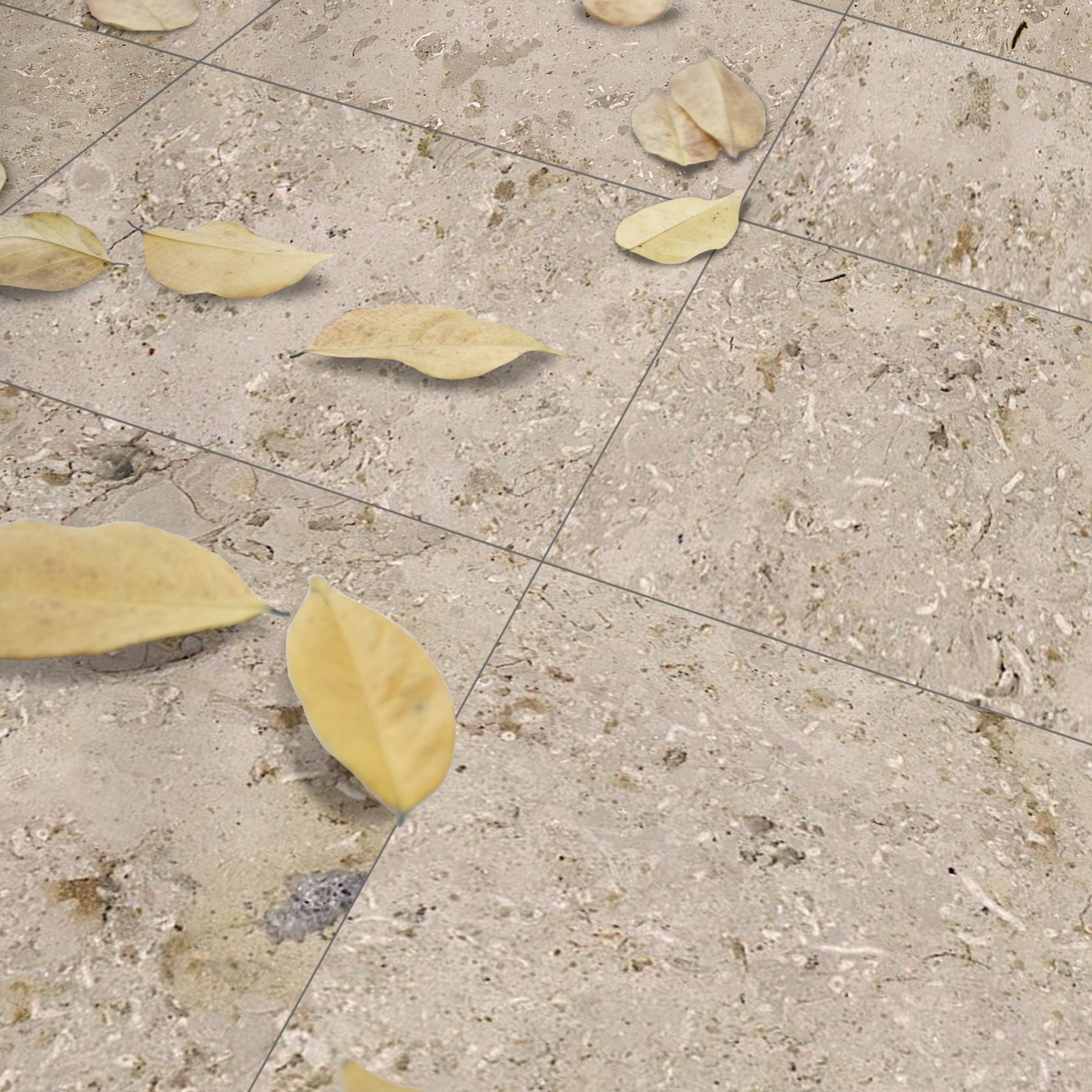 JURA BEIGE: Limestone Rectangle Field Tile (12"x24"x3/8" | Honed)