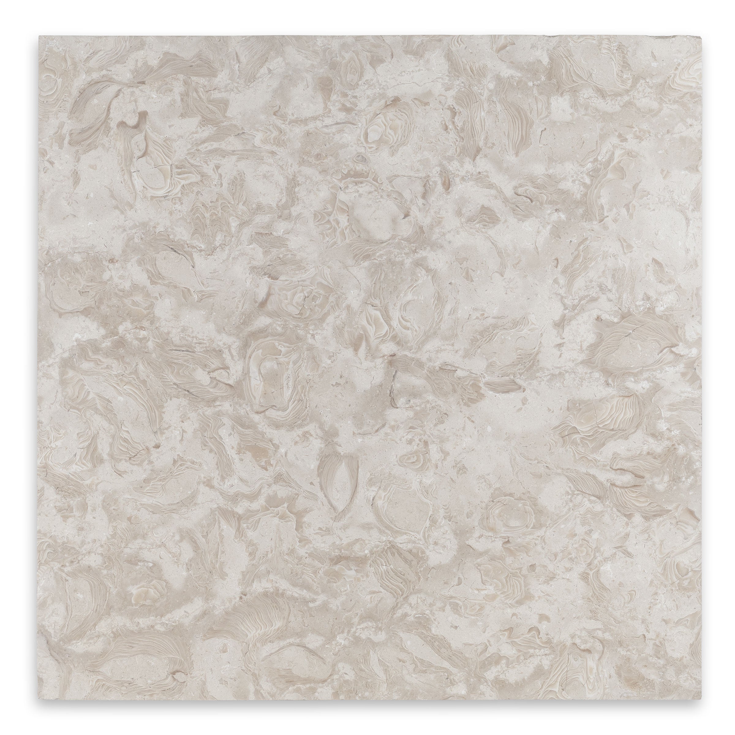 OCEAN REEF SHELLSTONE: Limestone Square Paving Tile (24"x24"x1 3/16" | Brushed)