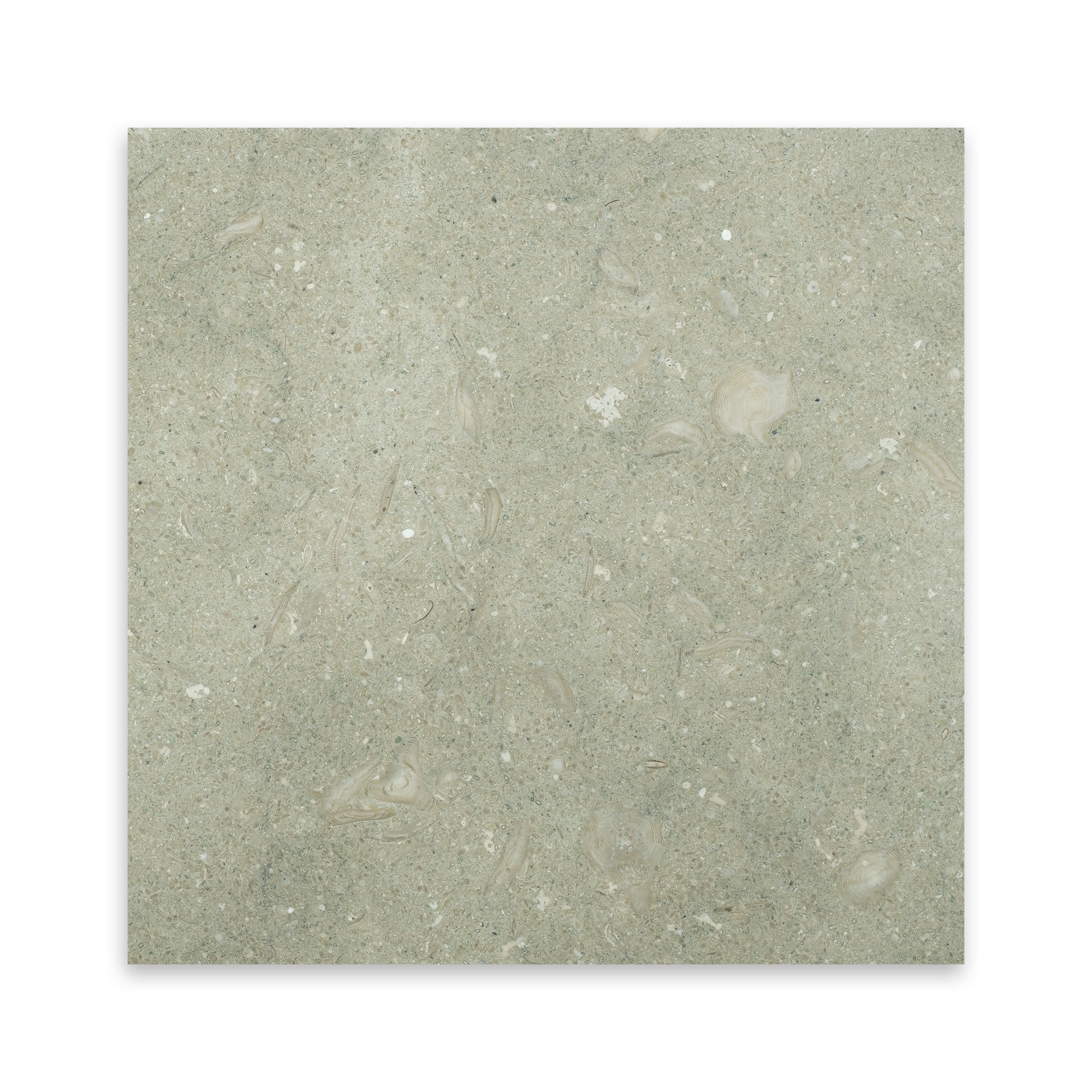 SEAGRASS: Limestone Square Field Tile (18"x18"x1/2" | Honed)