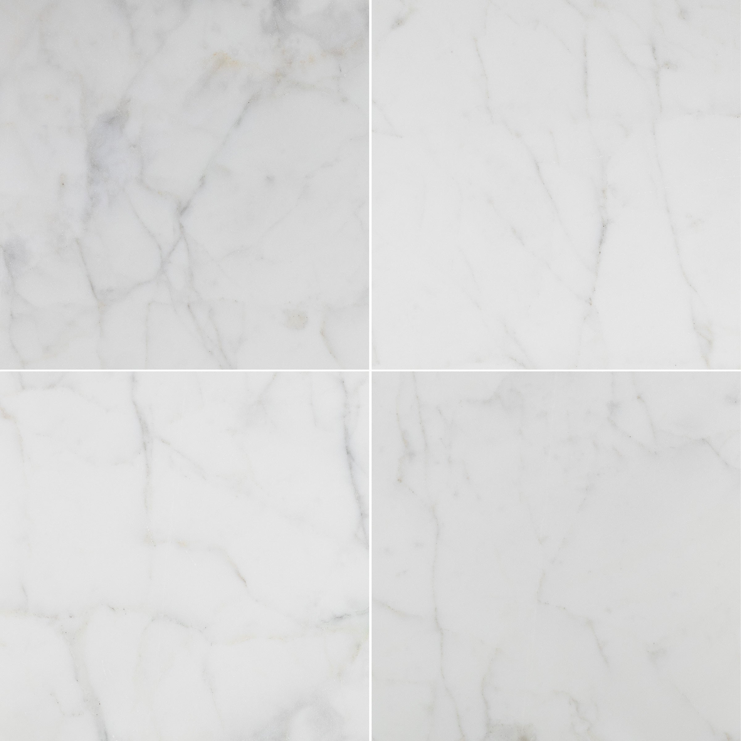 CALACATTA CALDIA: Marble Square Field Tile (24"x24"x3/8" | Honed)