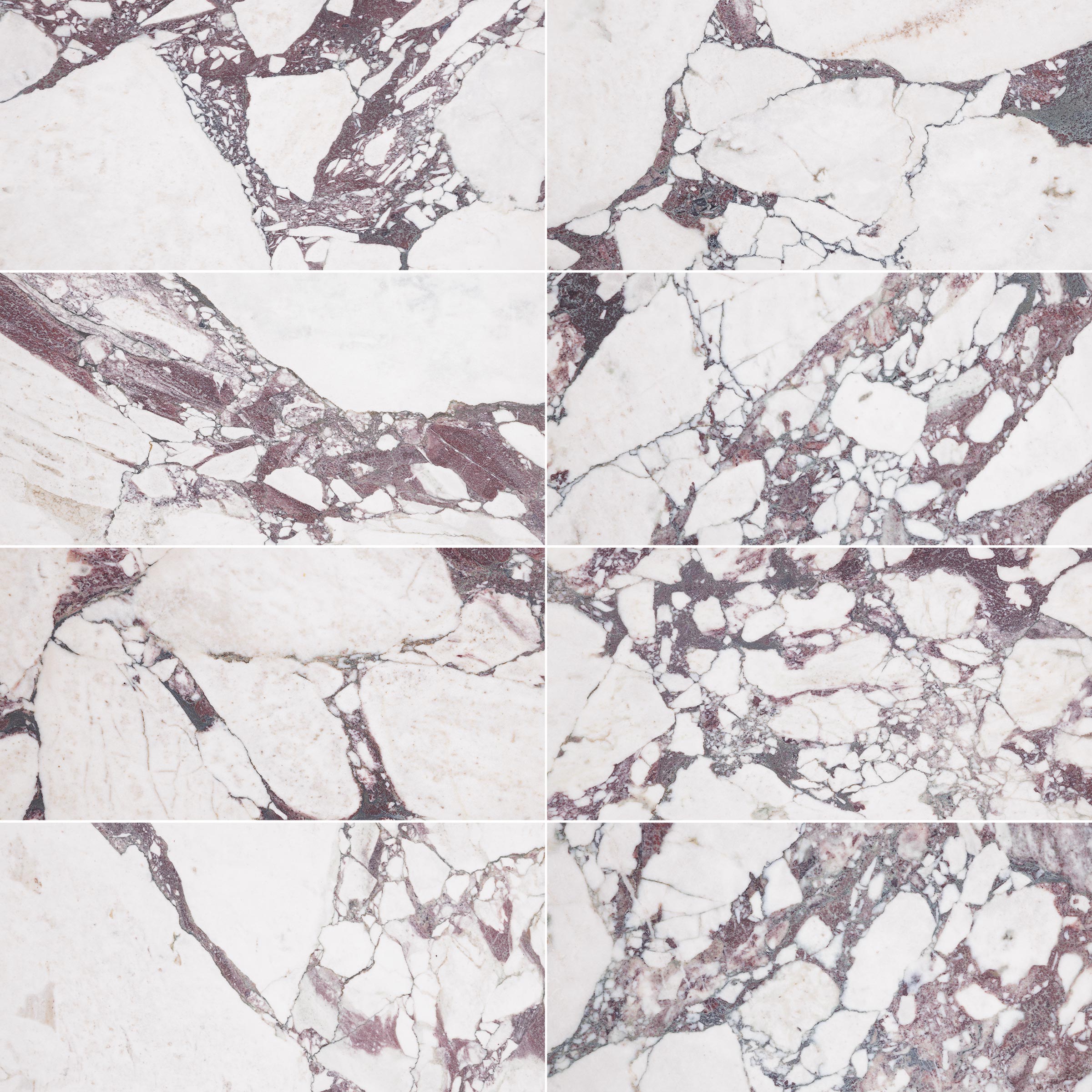 CALACATTA VIOLA: Marble Rectangle Field Tile (12"x24"x3/8" | Honed)