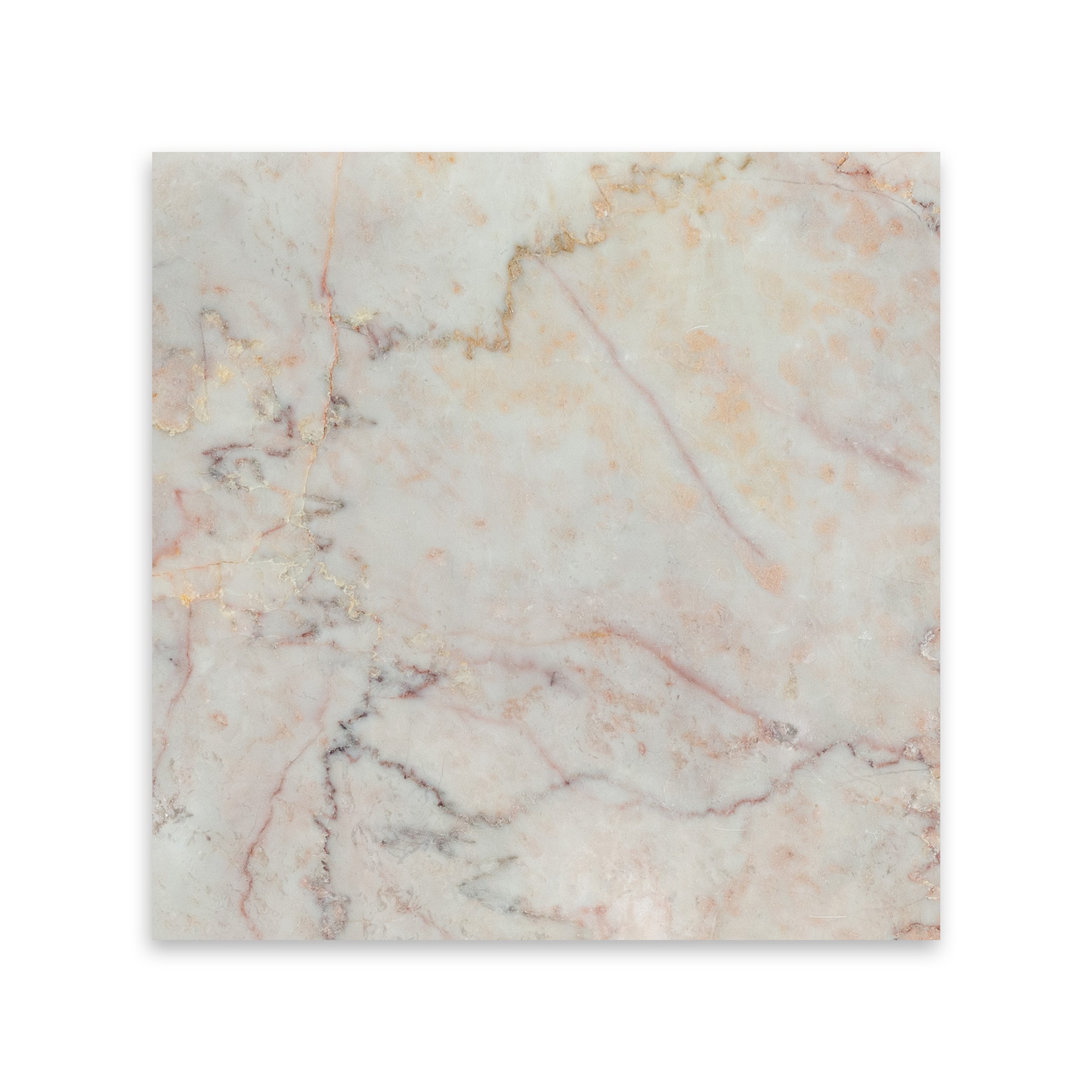 CHERRY BLOSSOM: Marble Square Field Tile (12"x12"x3/8" | Polished)