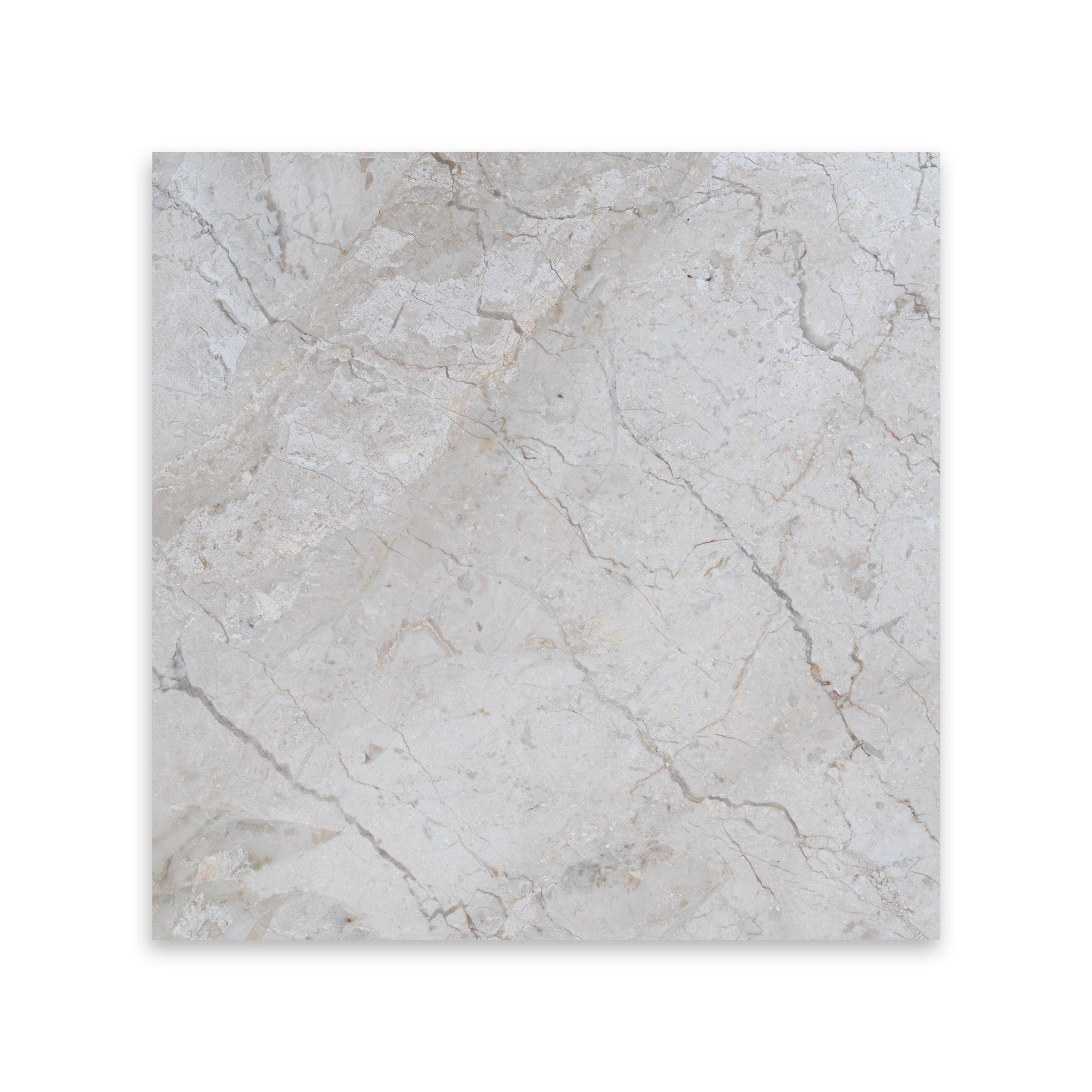 DIANO REALE: Marble Square Field Tile (12"x12"x3/8" | Polished)