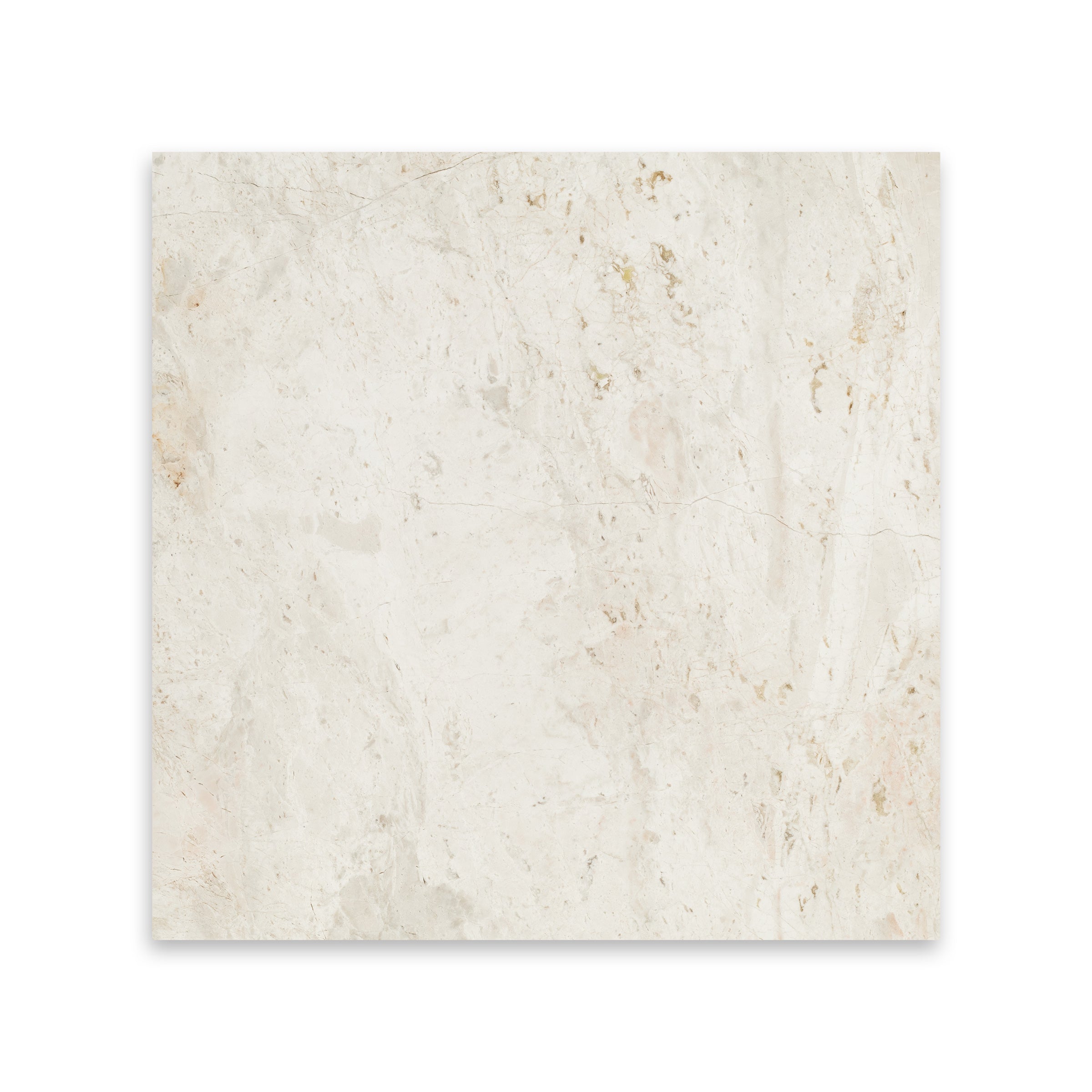 FRENCH VANILLA: Marble Square Field Tile (12"x12"x3/8" | Polished)