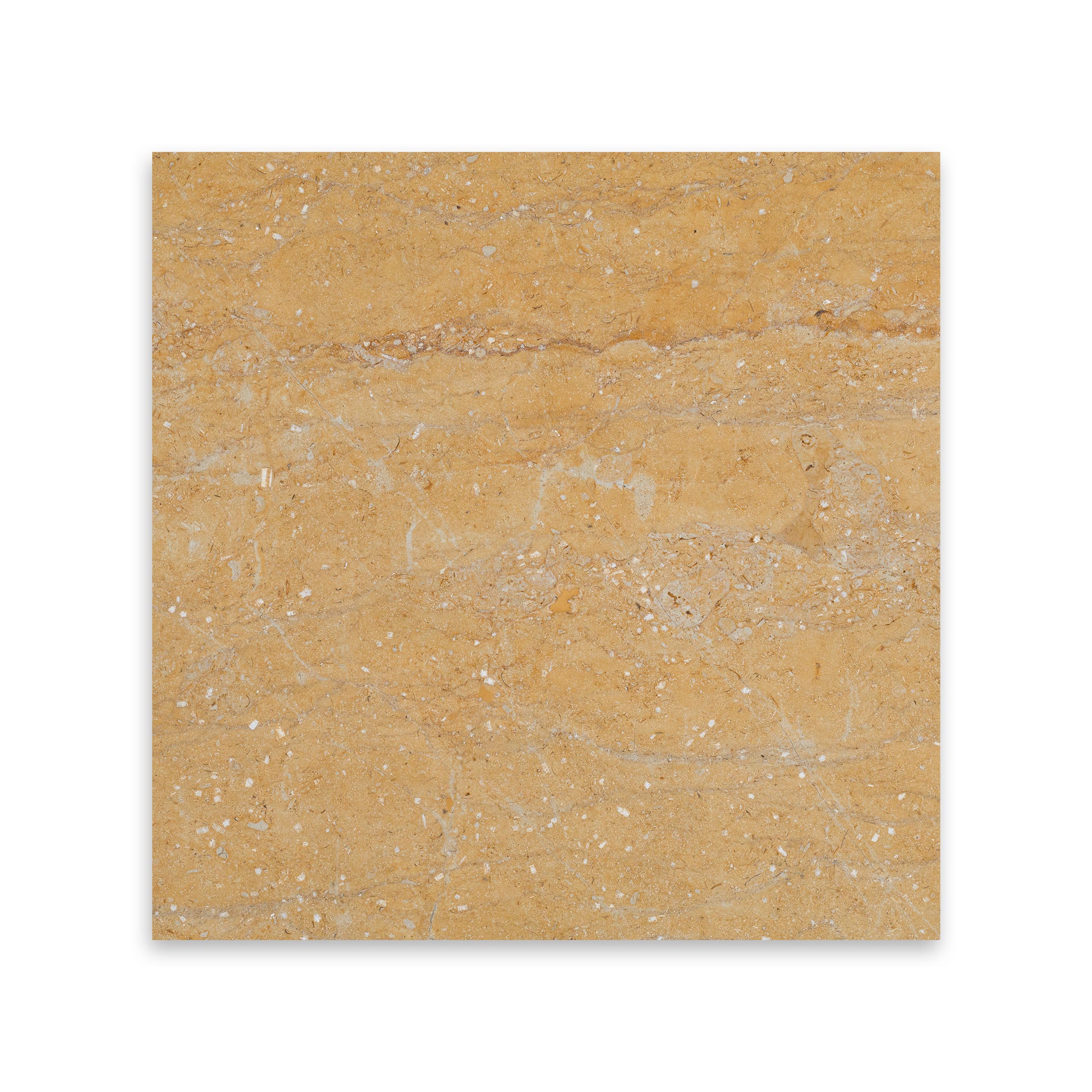 GIALLO REALE: Marble Square Field Tile (12"x12"x3/8" | Polished)