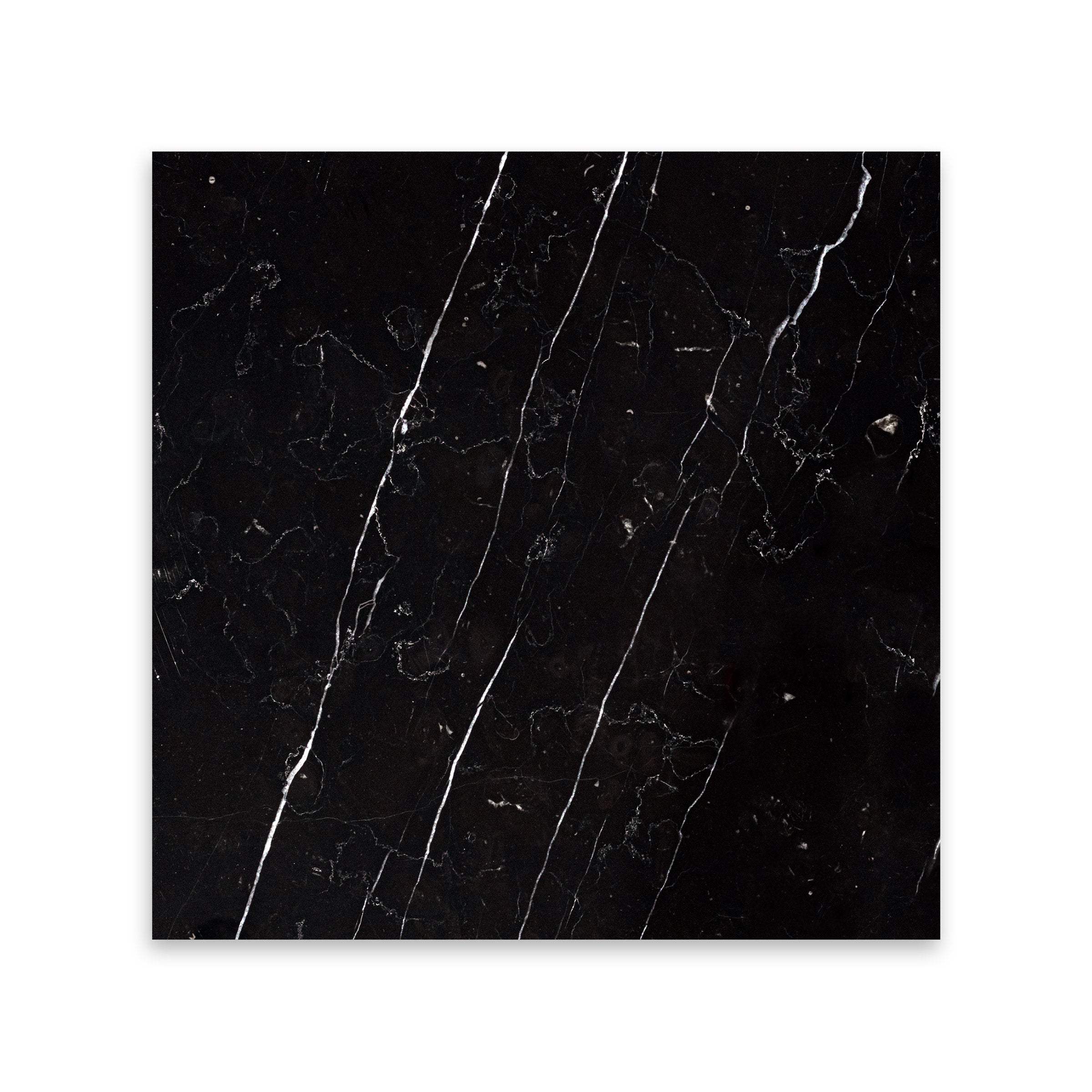 CHINA BLACK: Marble Square Field Tile (12"x12"x3/8" | Honed)