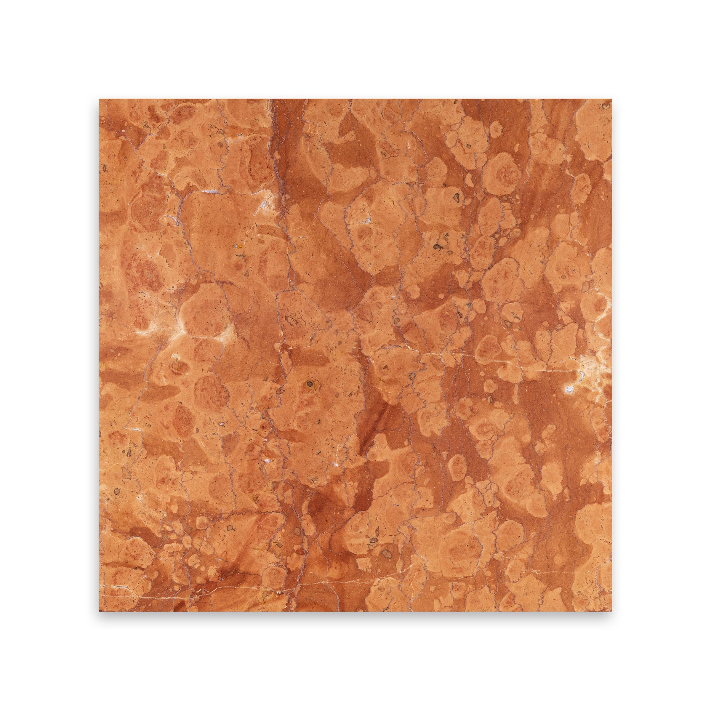 ROSA VERONA: Marble Square Field Tile (12"x12"x3/8" | Polished)