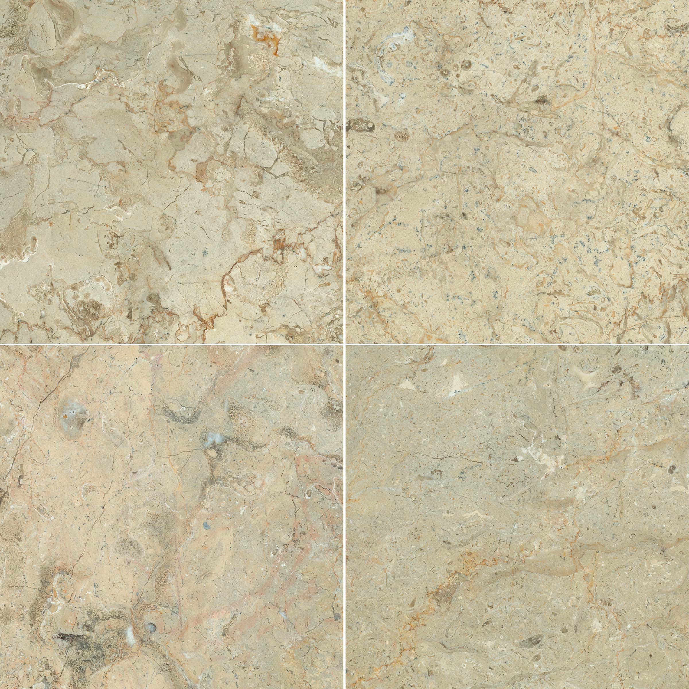 SAHARA GOLD: Marble Square Field Tile (12"x12"x3/8" | Honed)