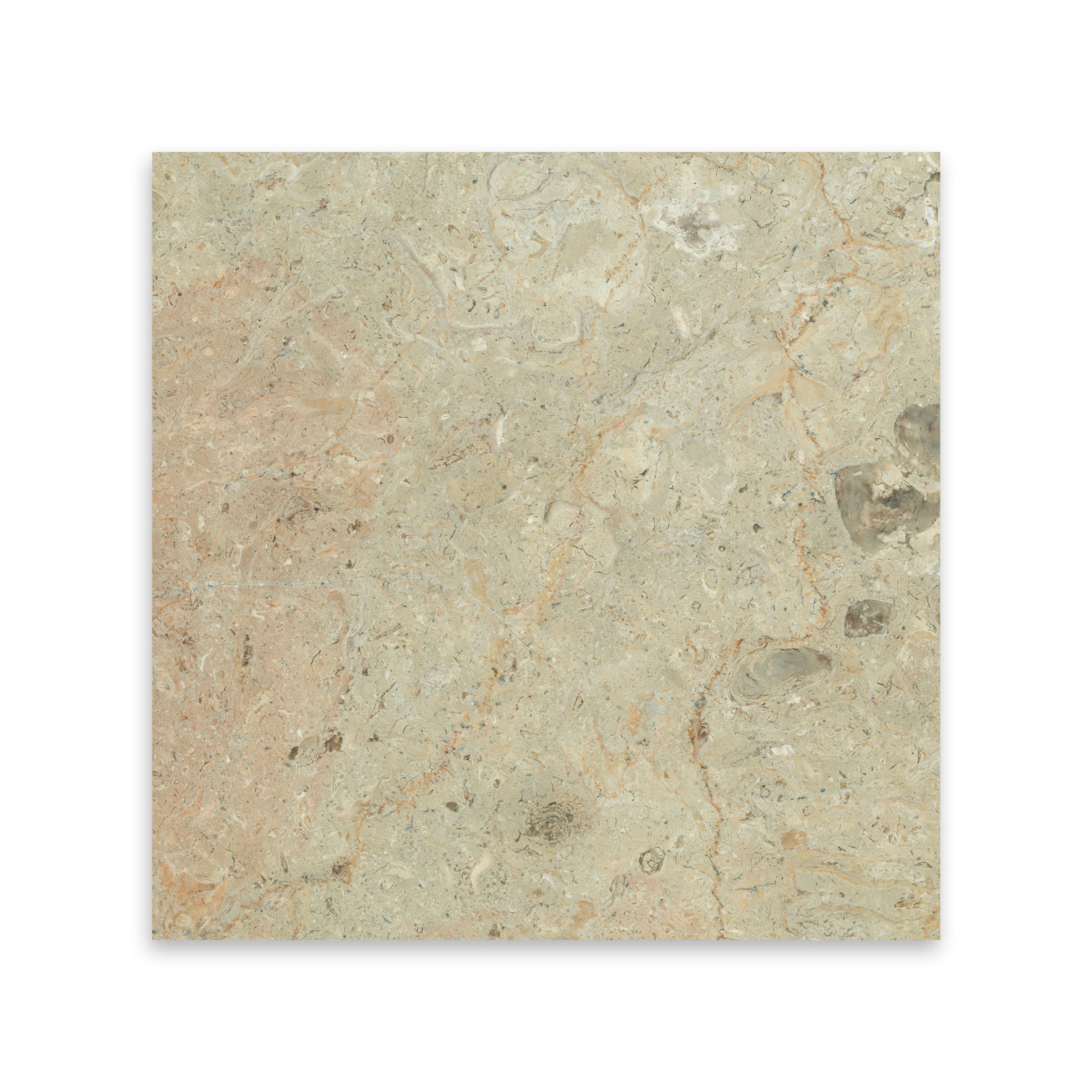 SAHARA GOLD: Marble Square Field Tile (12"x12"x3/8" | Honed)