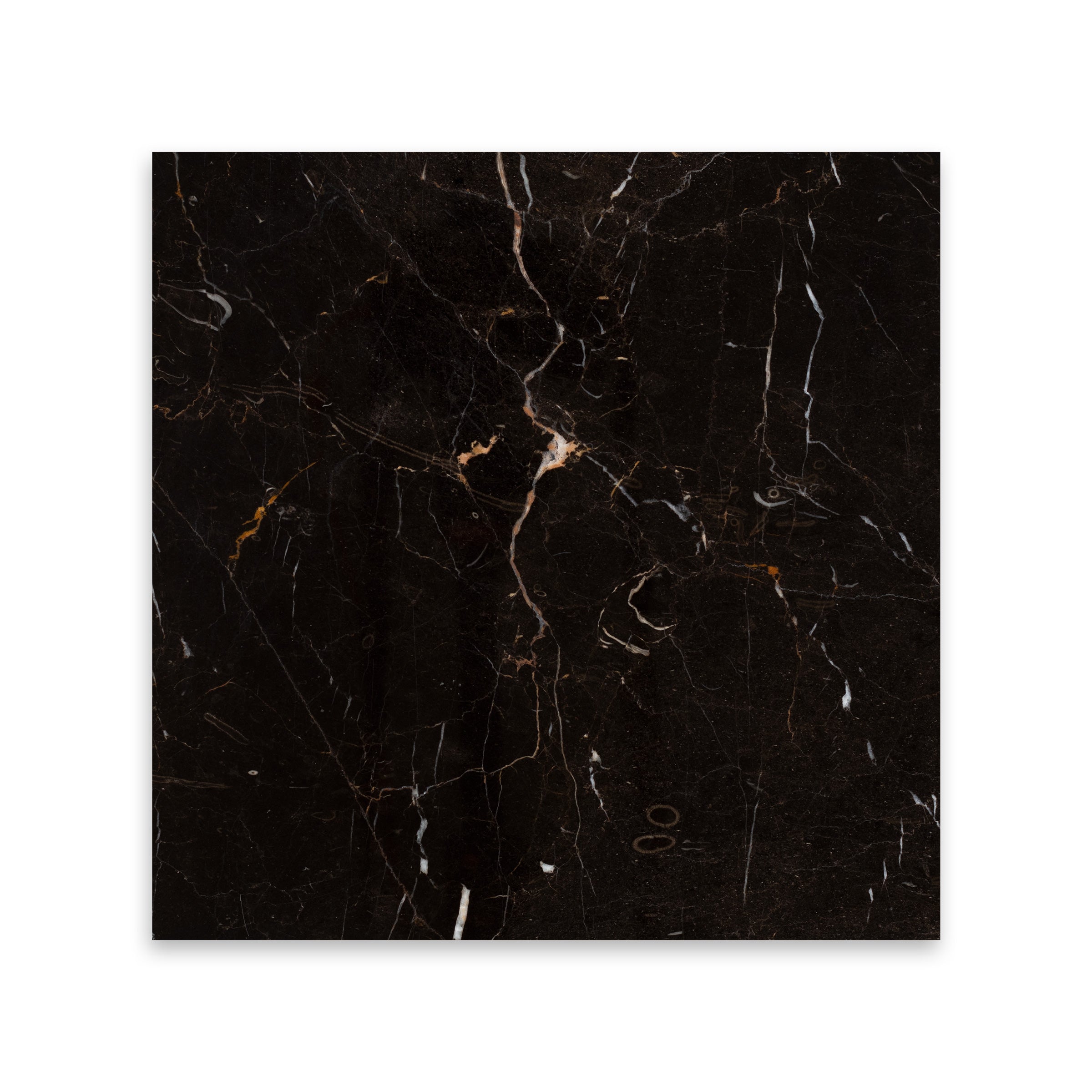 SAINT LAURENT BROWN: Marble Square Field Tile (12"x12"x1/2" | Polished)