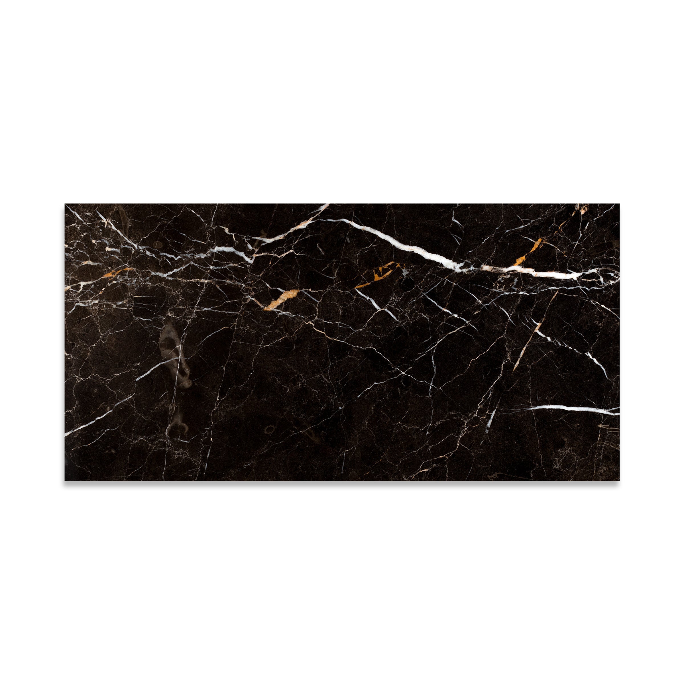 SAINT LAURENT BROWN: Marble Rectangle Field Tile (12"x24"x1/2" | Polished)