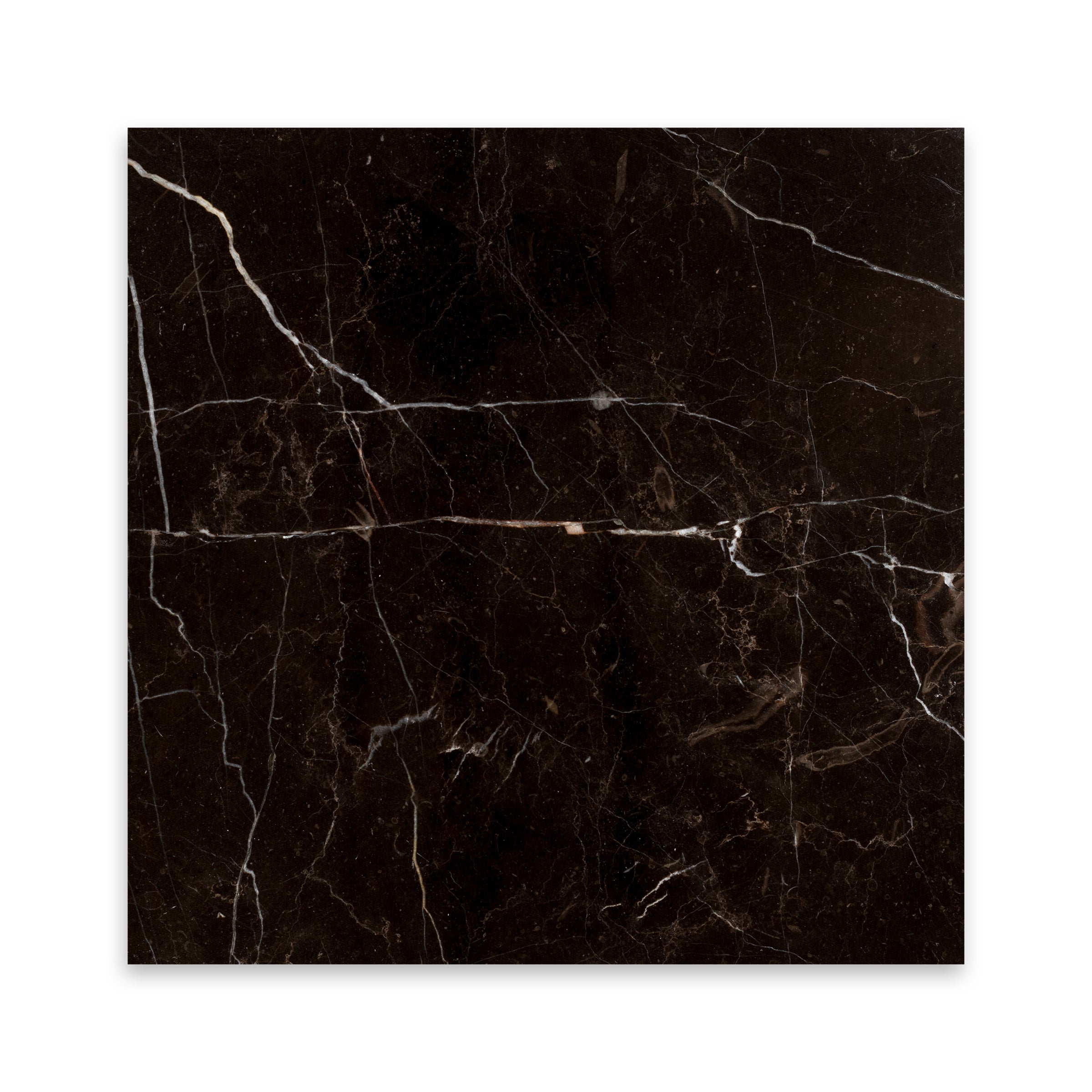 SAINT LAURENT BROWN: Marble Square Field Tile (18"x18"x1/2" | Polished)