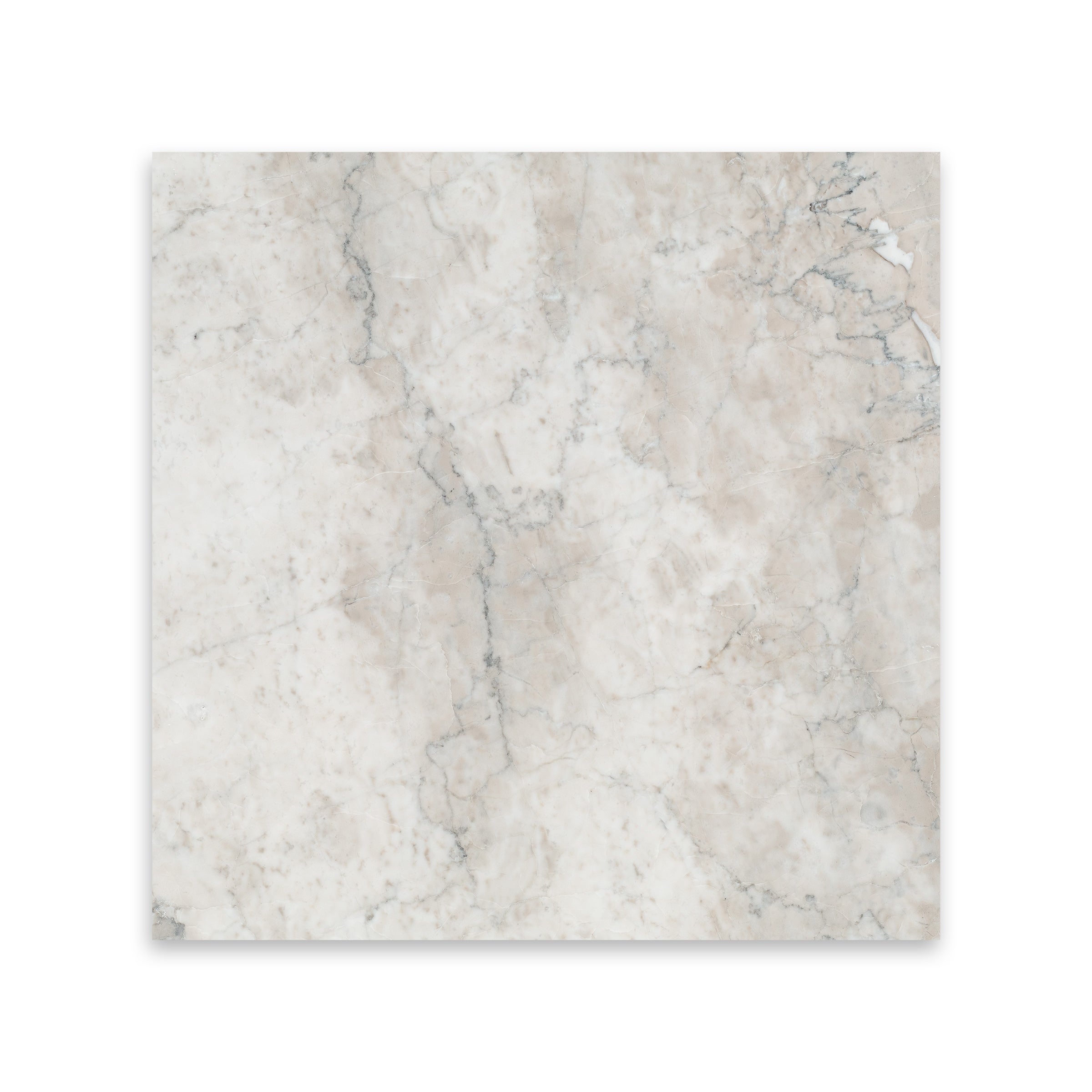 TEMPLE GREY: Marble Square Field Tile (12"x12"x3/8" | Polished)