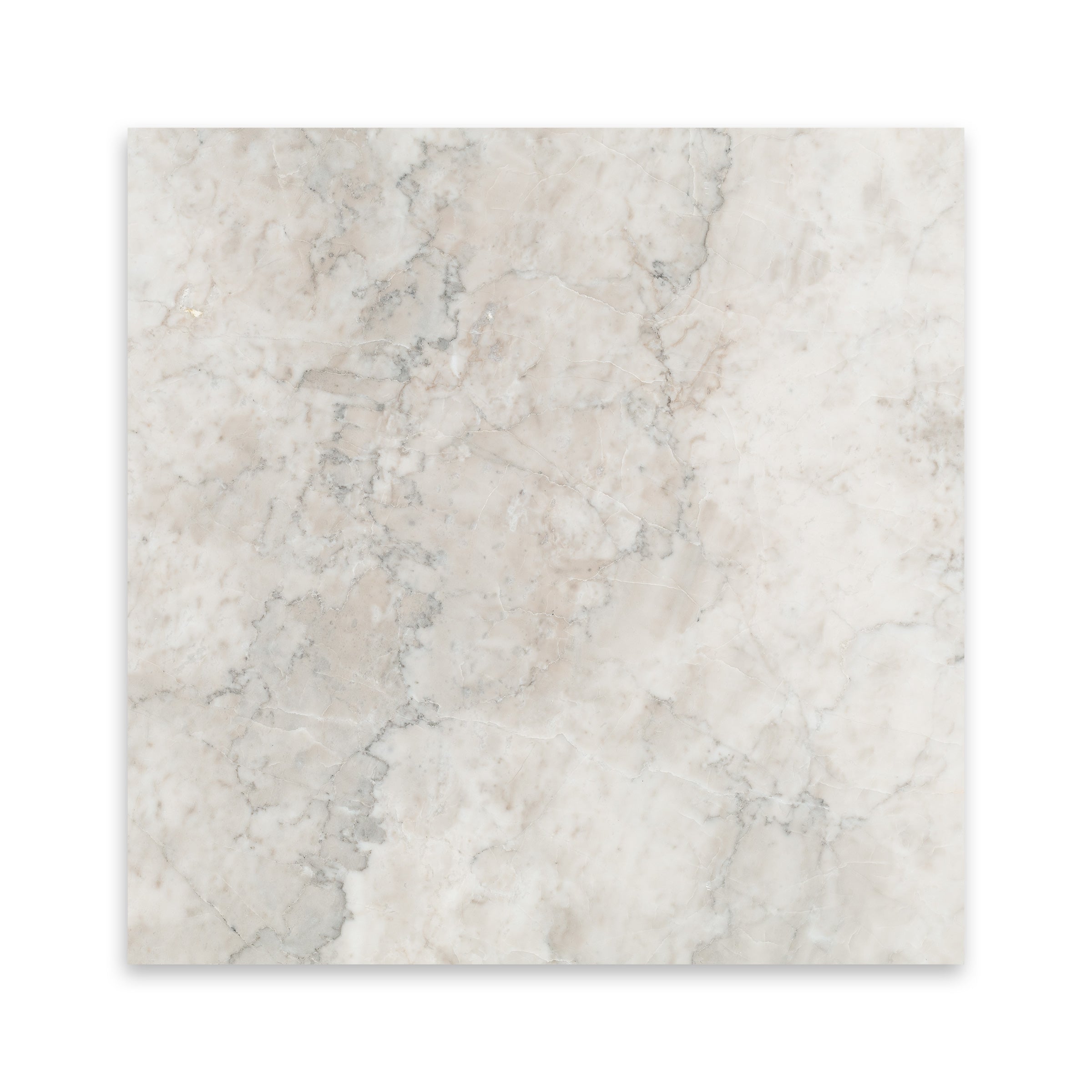 TEMPLE GREY: Marble Square Field Tile (18"x18"x1/2" | Polished)