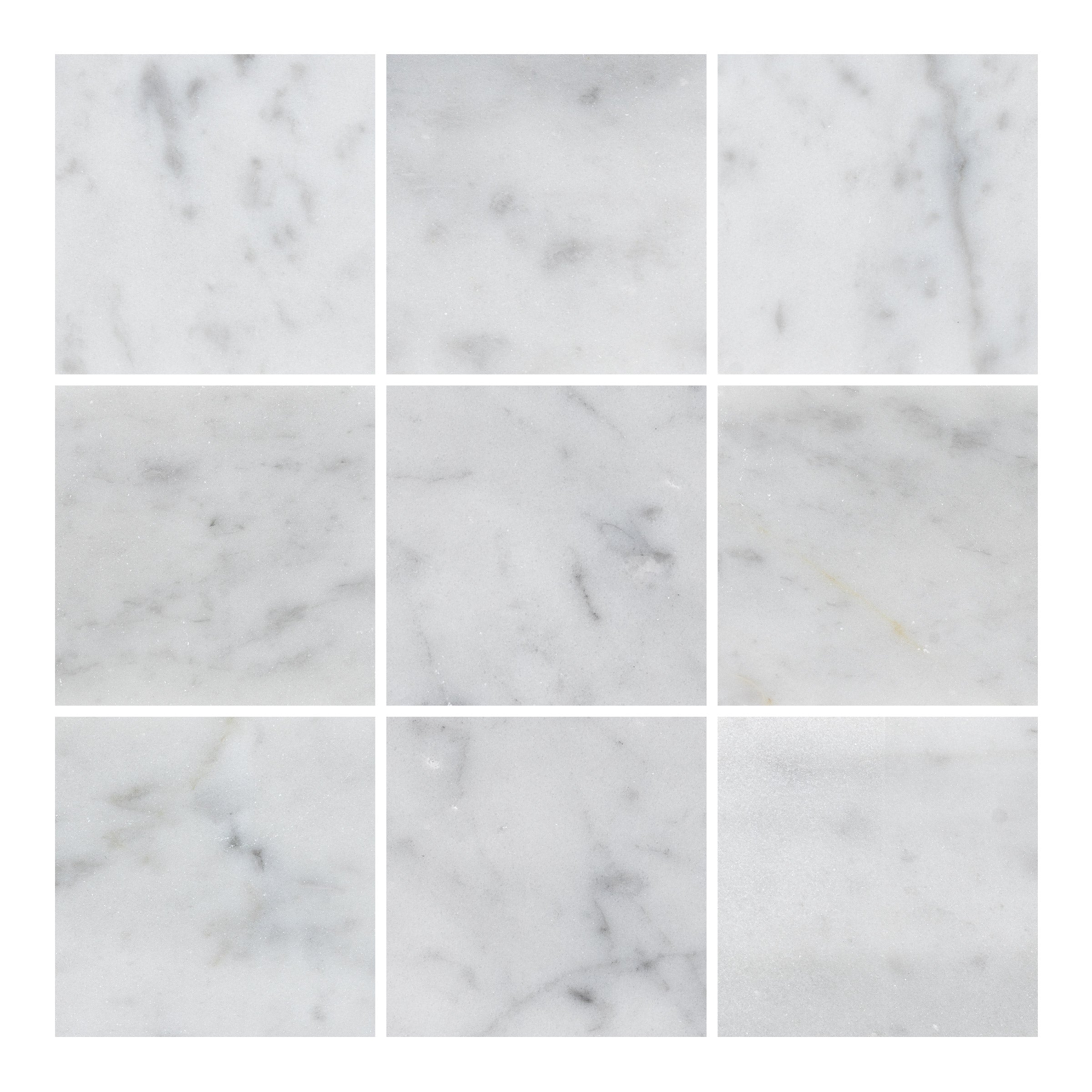 WHITE CARRARA: Marble Square Field Tile (4"x4"x3/8" | Honed)