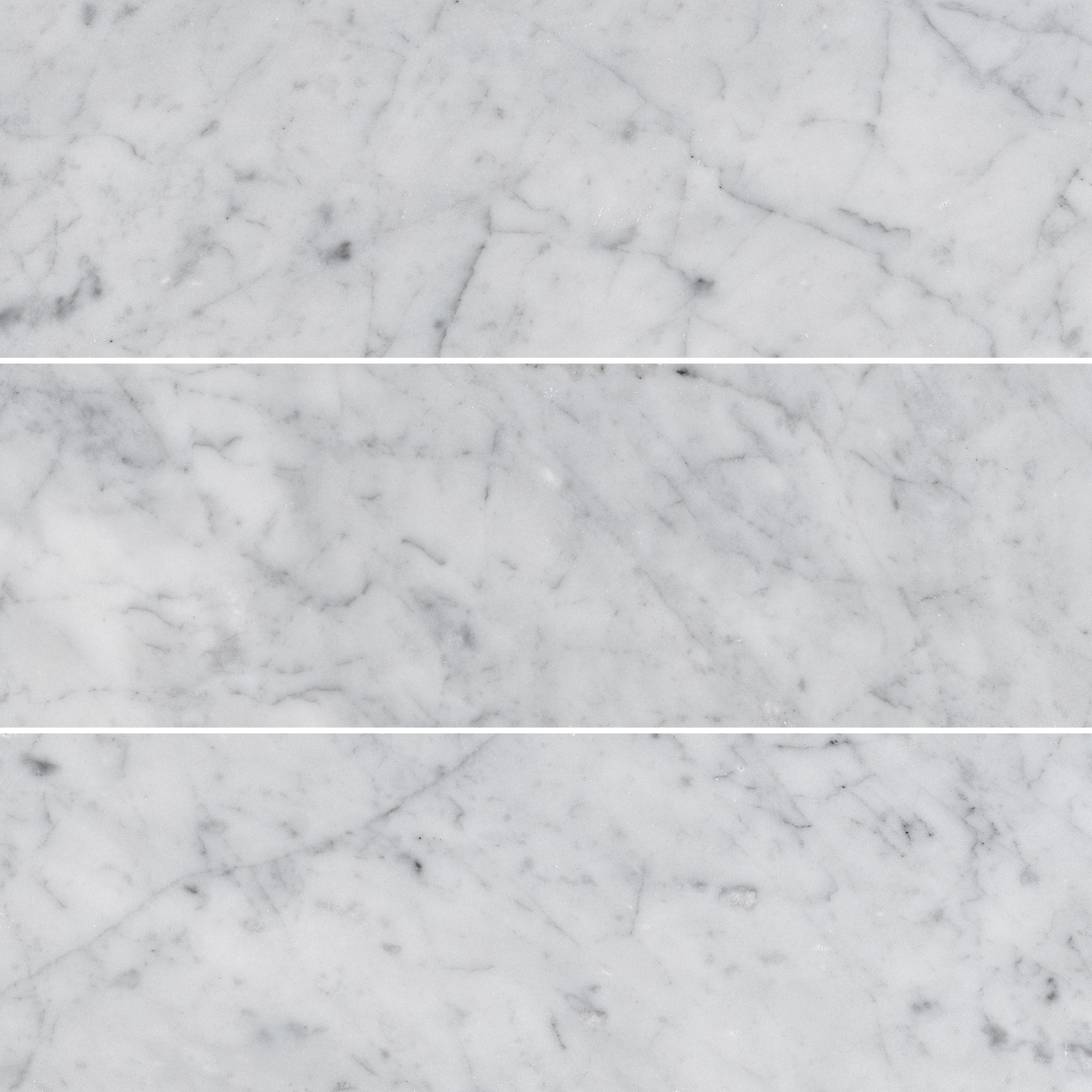 WHITE CARRARA: Marble Rectangle Field Tile (4"x12"x3/8" | Honed)