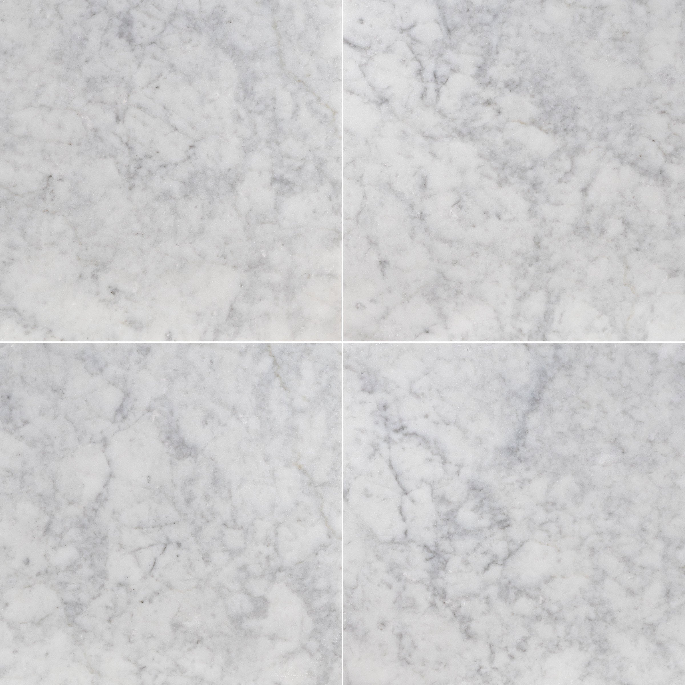 WHITE CARRARA: Marble Square Field Tile (24"x24"x3/8" | Honed)