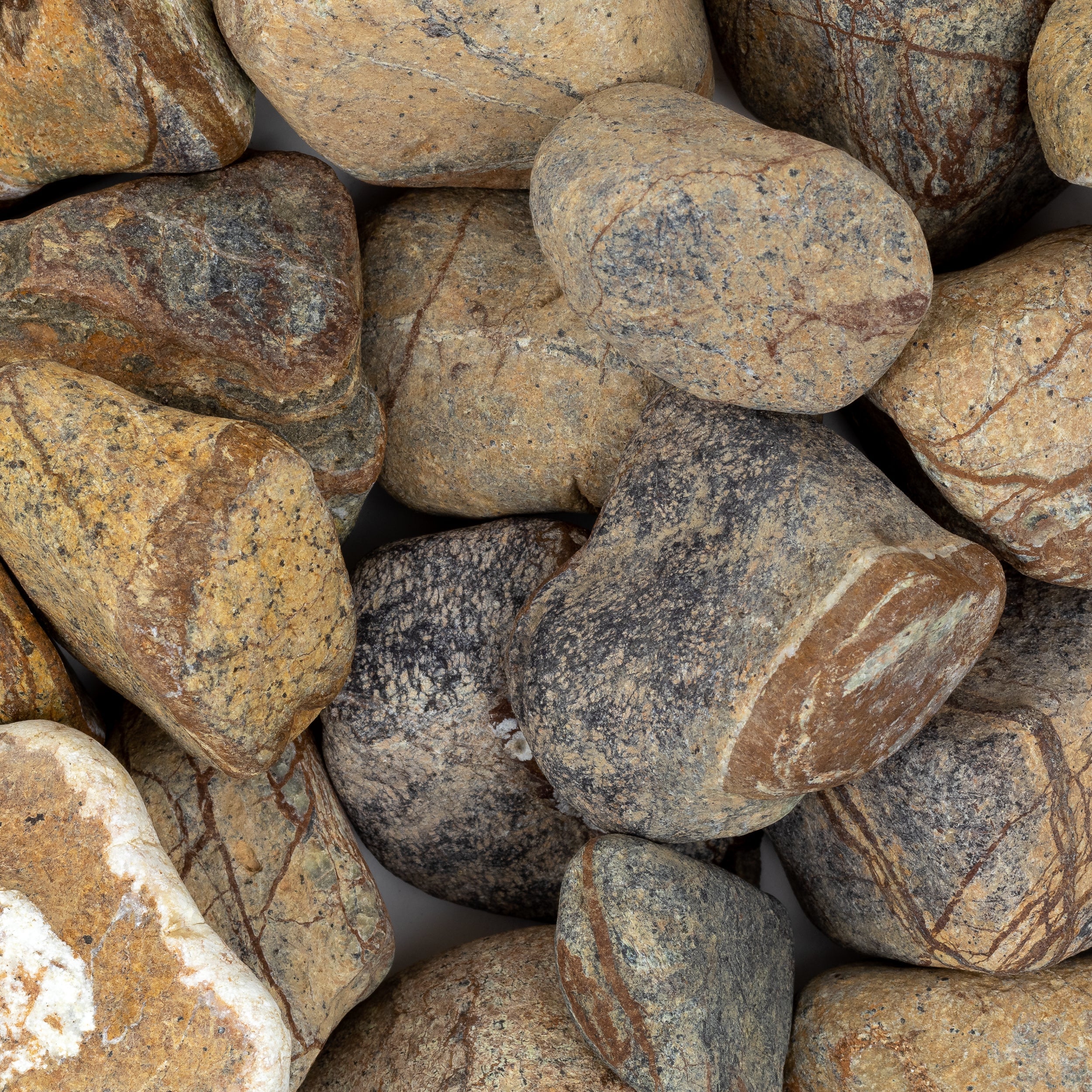 RAIN FOREST BROWN: Marble Medium Loose Pebbles (50 lbs | Tumbled)