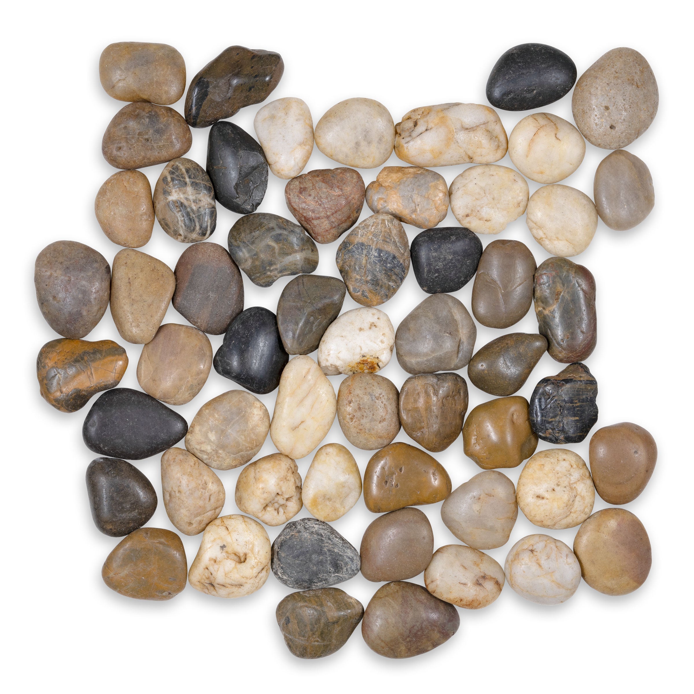 PEBBLES: Bora Round Pebbles Mosaic (12"x12"x3/8" | Polished)