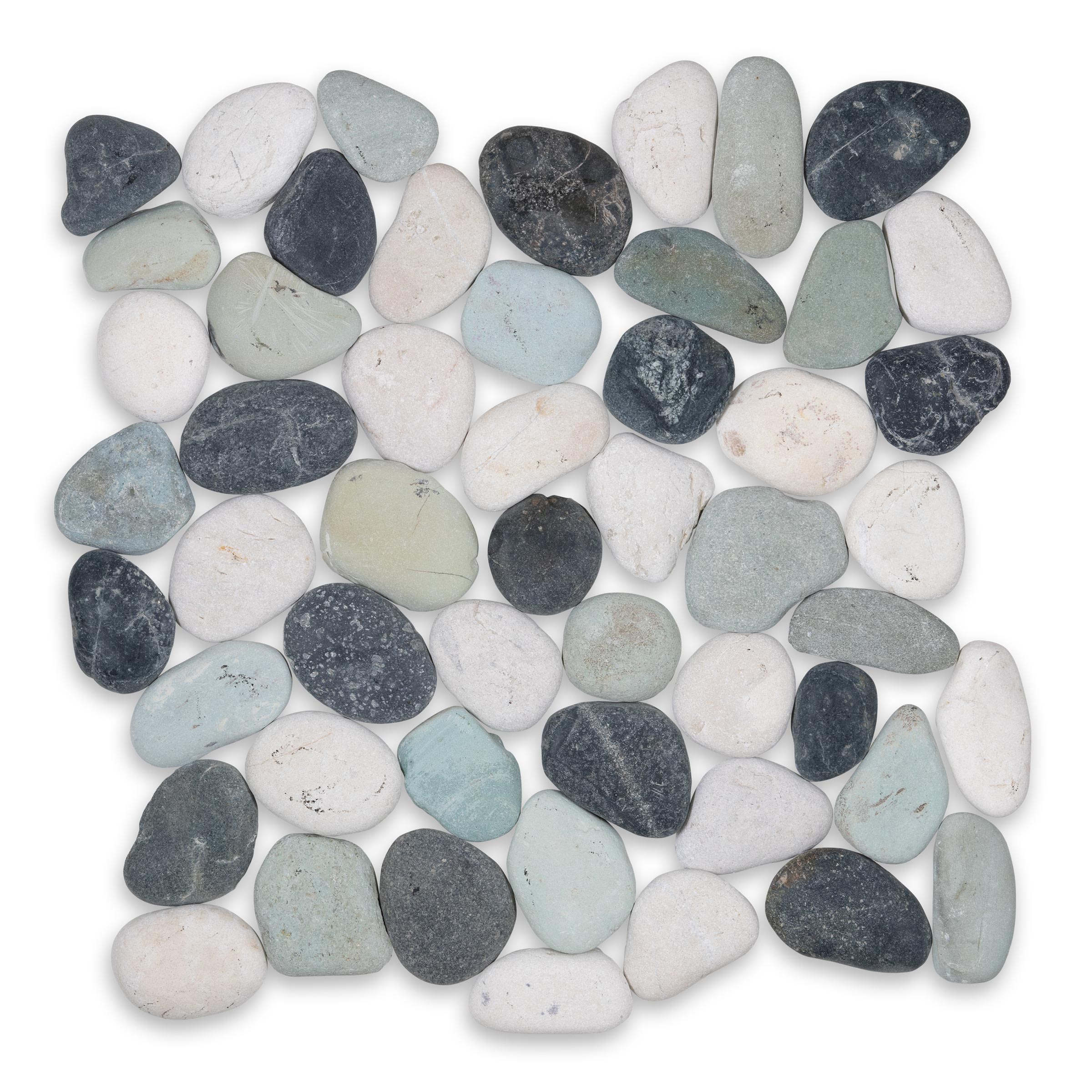 PEBBLES: Jervis Round Pebbles Mosaic (12"x12"x3/8" | Honed)