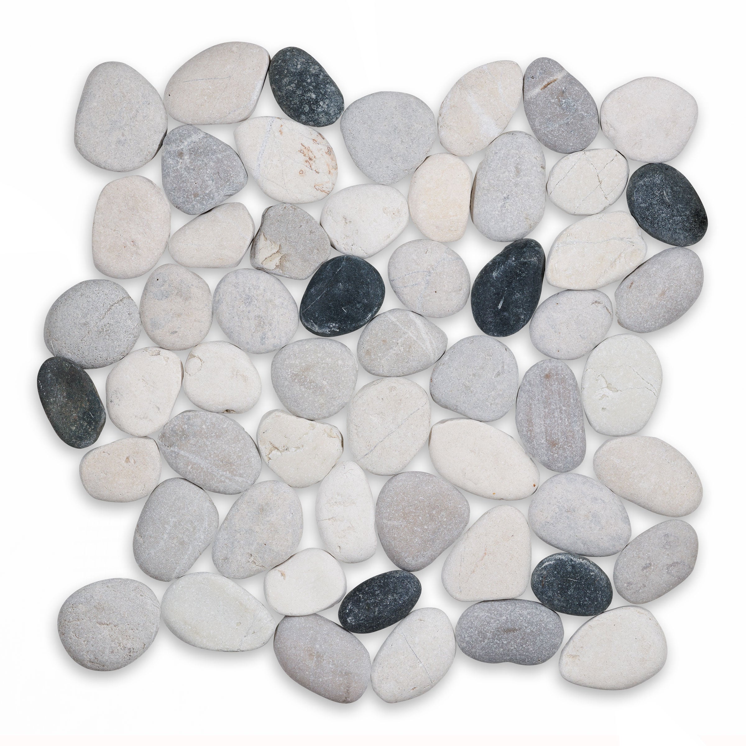 PEBBLES: Poppy Round Pebbles Mosaic (12"x12"x3/8" | Honed)