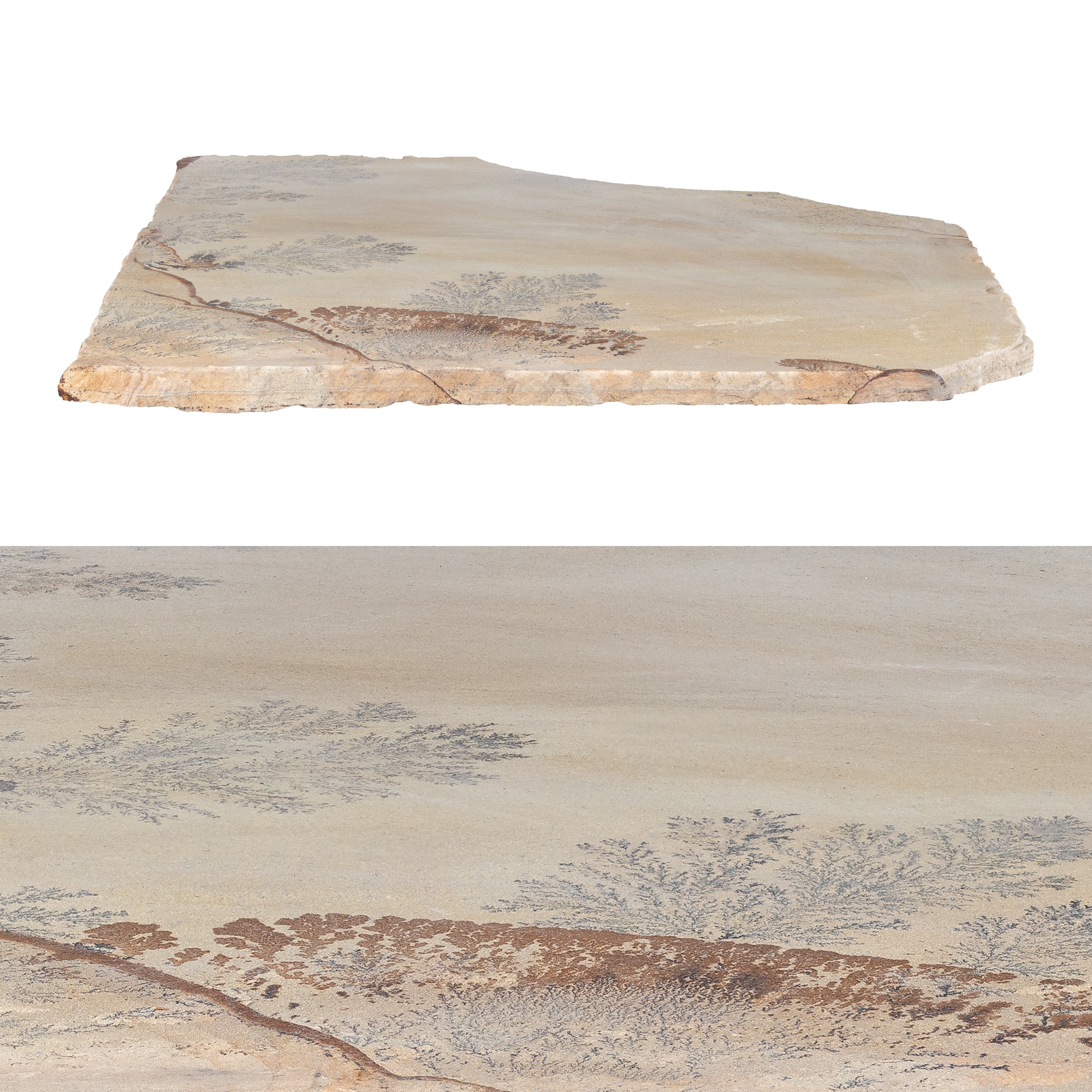 FOSSIL: Sandstone Flagstone Paving Tile (7/8"-1" Thick | Cleft)