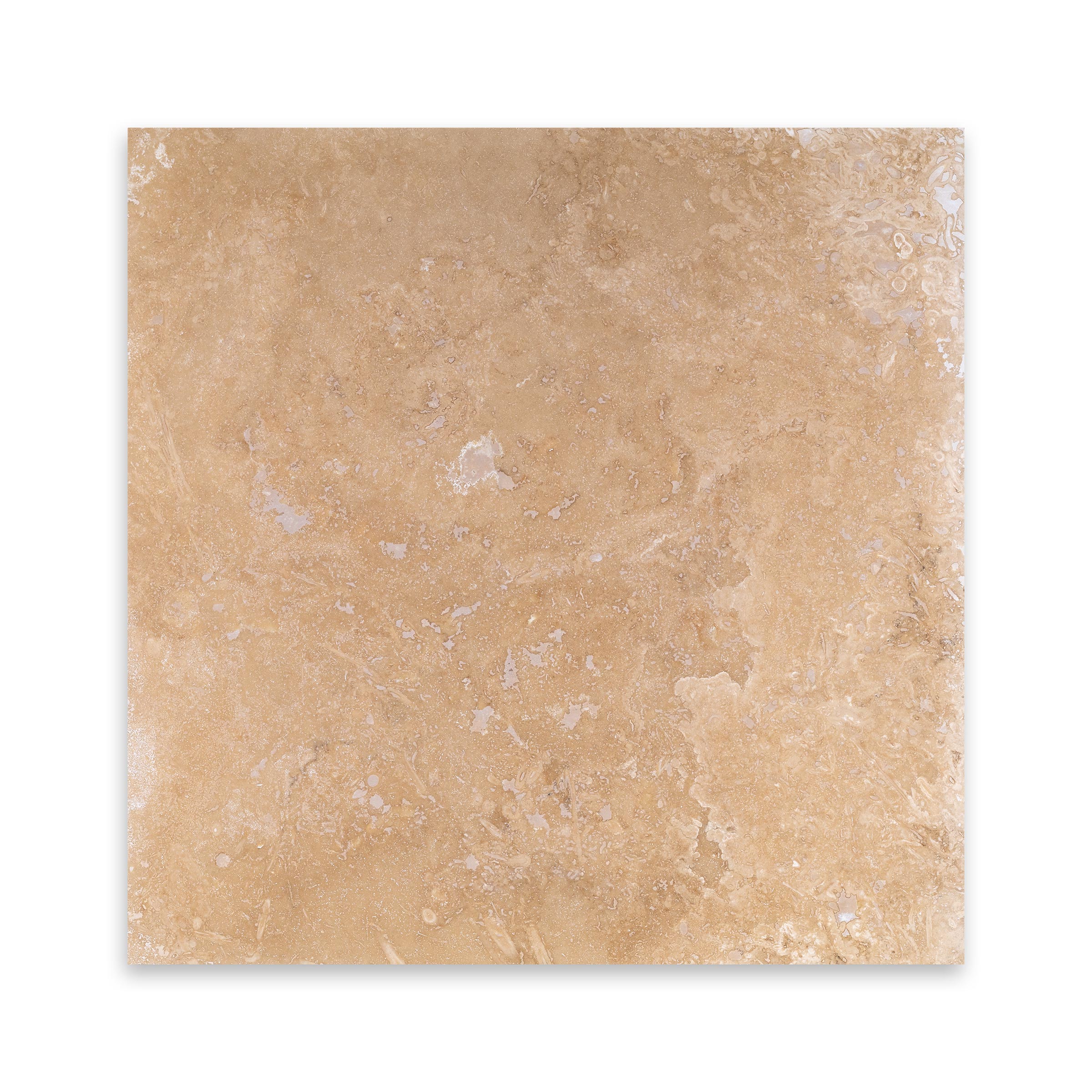 IVORY PREMIUM: Travertine Square Field Tile (18"x18"x1/2" | Filled, Honed)