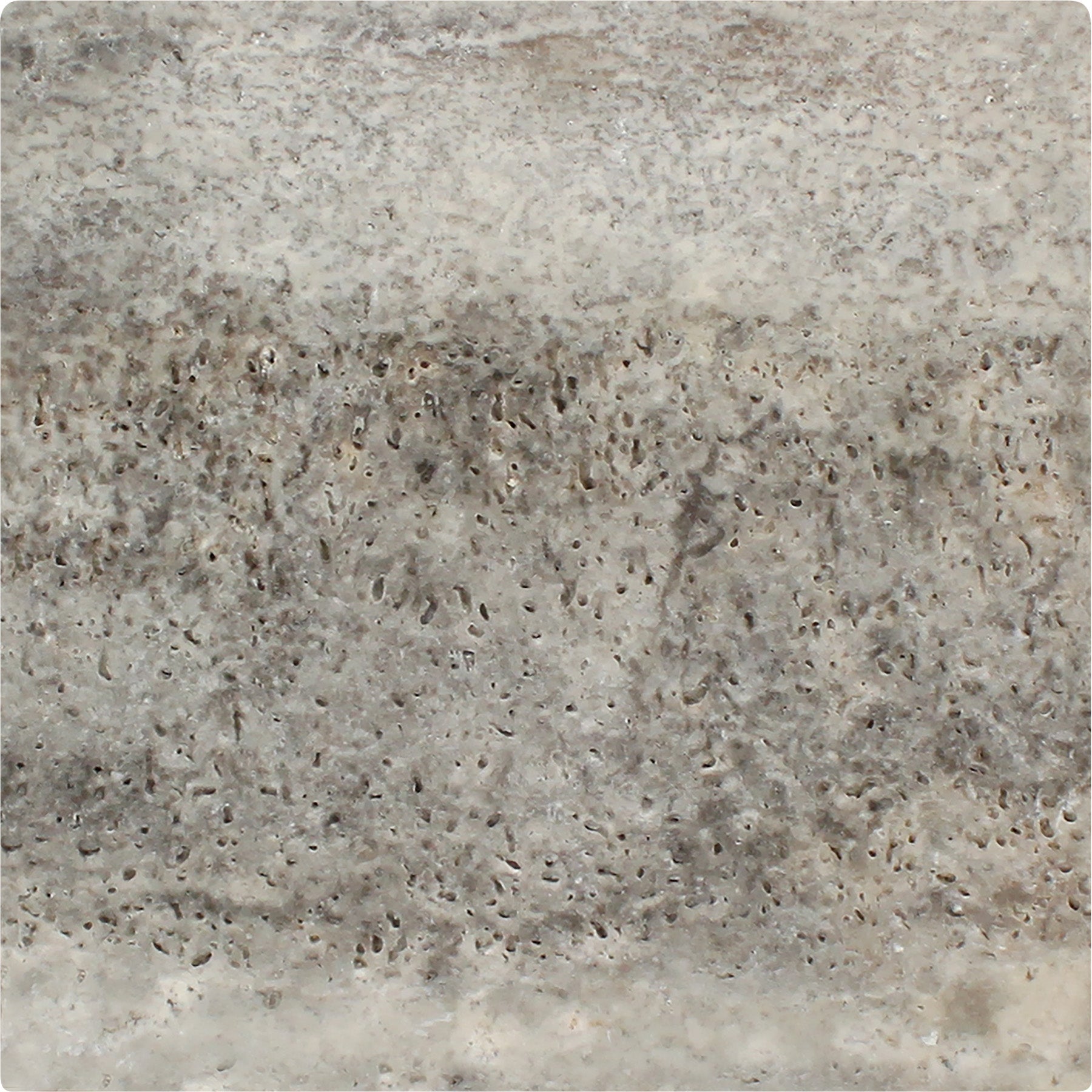 SILVER PREMIUM: Travertine Rectangle Field Tile (3"x6"x3/8" | Tumbled)