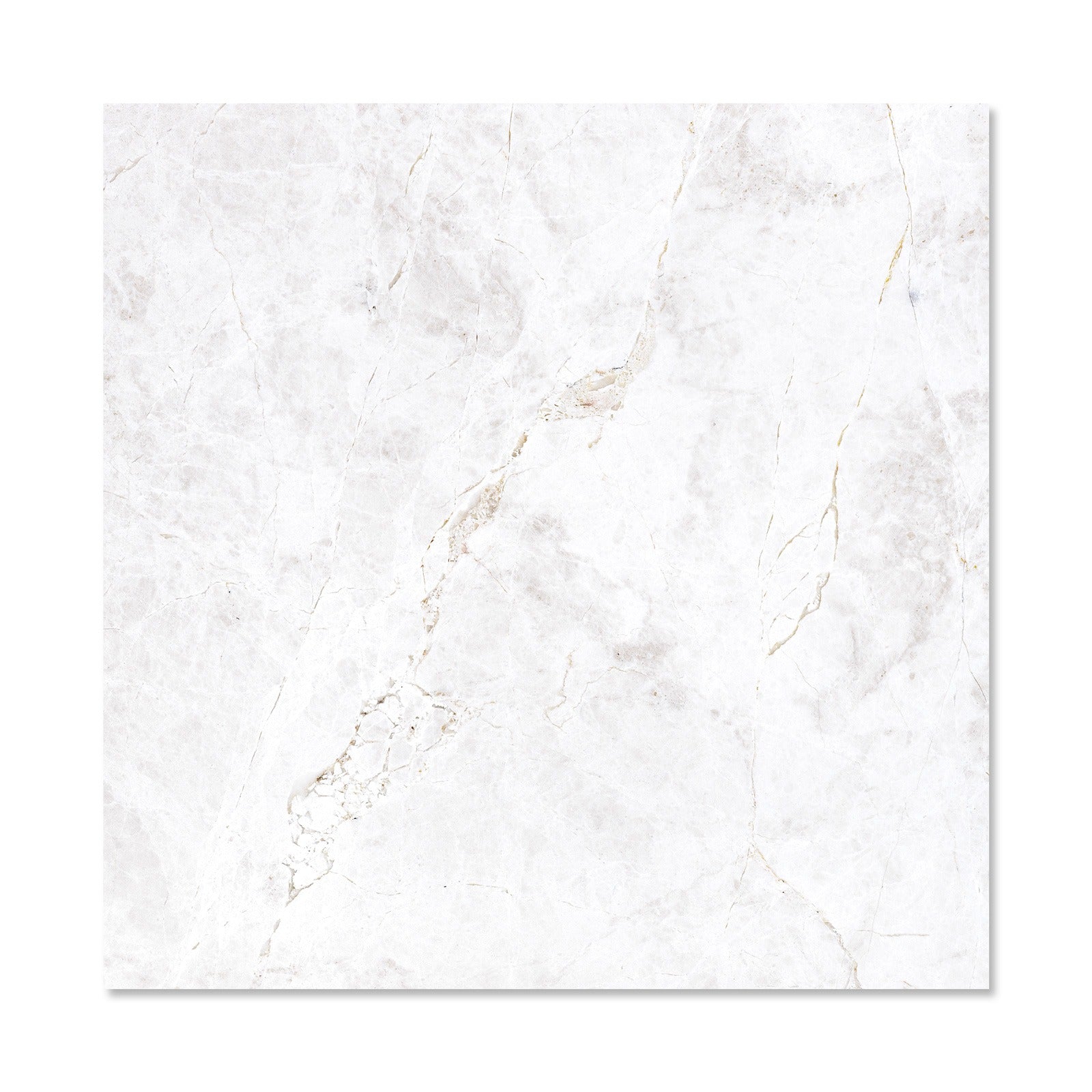 BOTTICINO TURKISH: Field Tile (24"×24"×1/2" | honed)