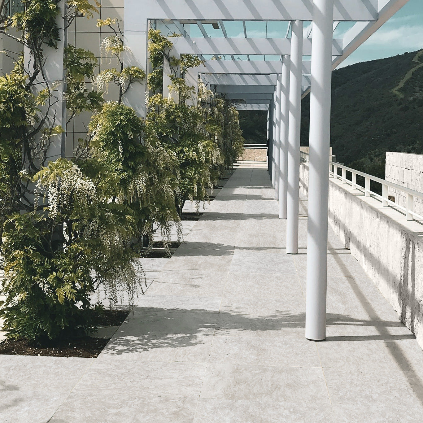 OCEAN REEF SHELLSTONE: Pavers (12"×24"×1 3/16" | brushed)