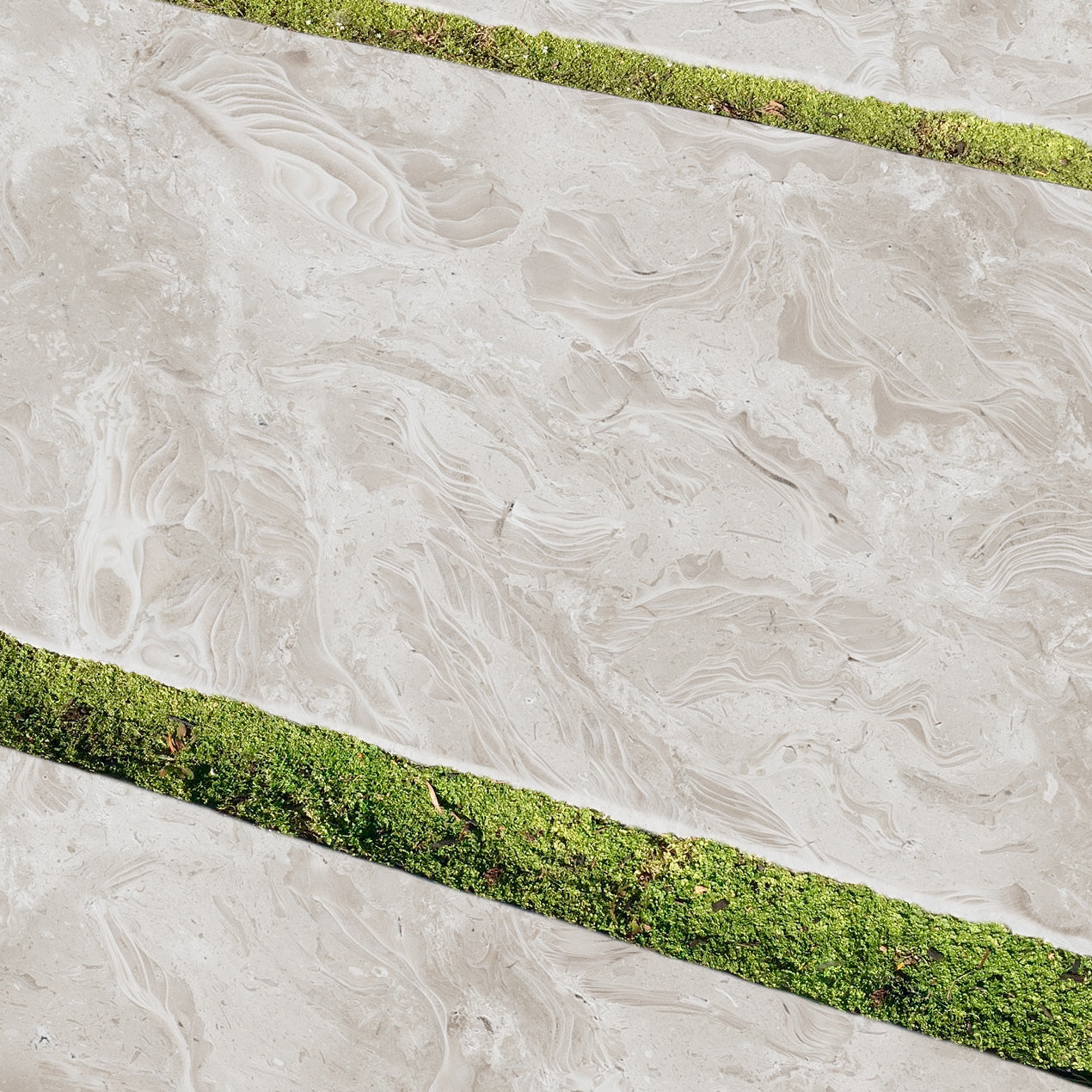 OCEAN REEF SHELLSTONE: Pavers (12"×24"×1 3/16" | brushed)