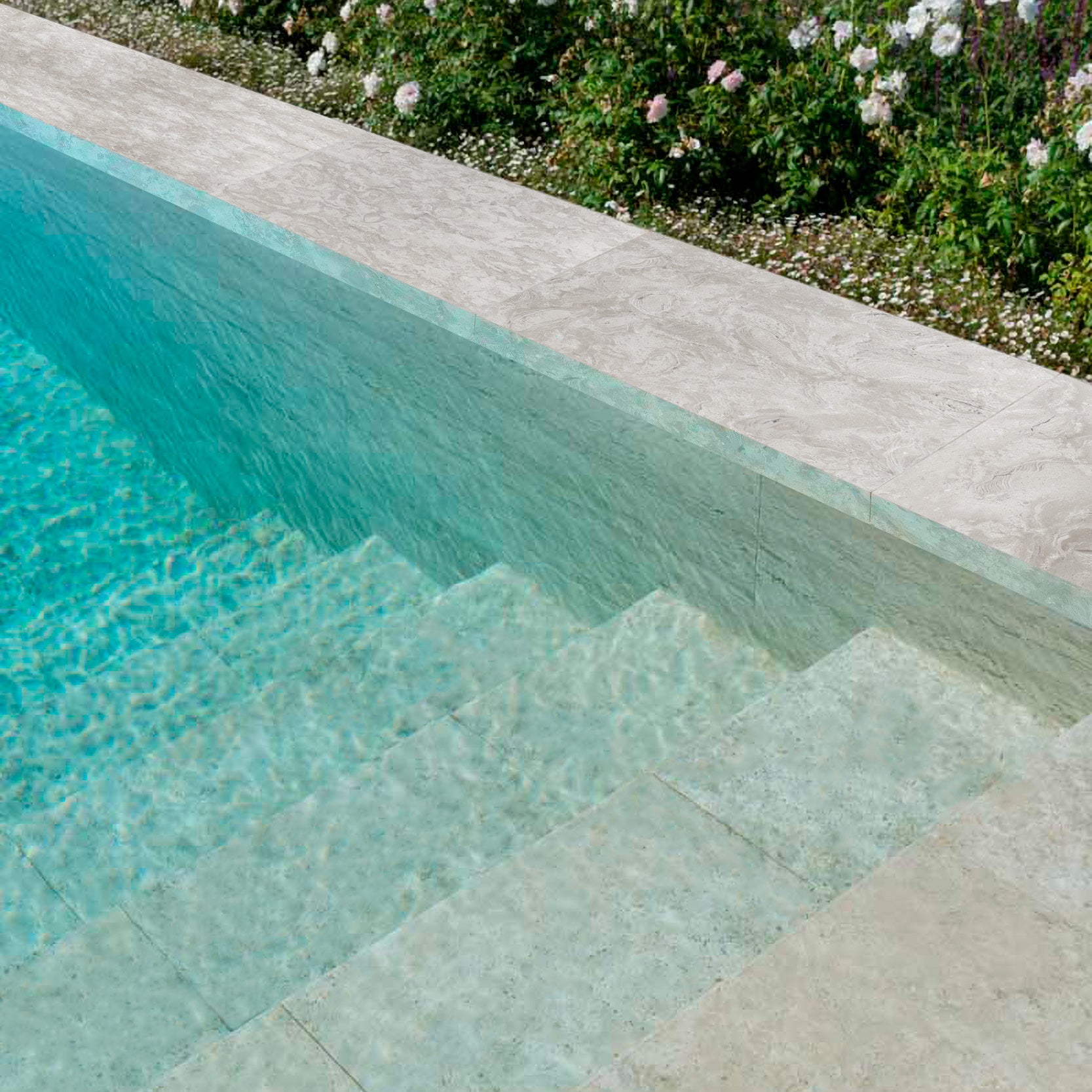OCEAN REEF SHELLSTONE: Field Tile (12"×24"×1 31/32" | brushed | straight edge)