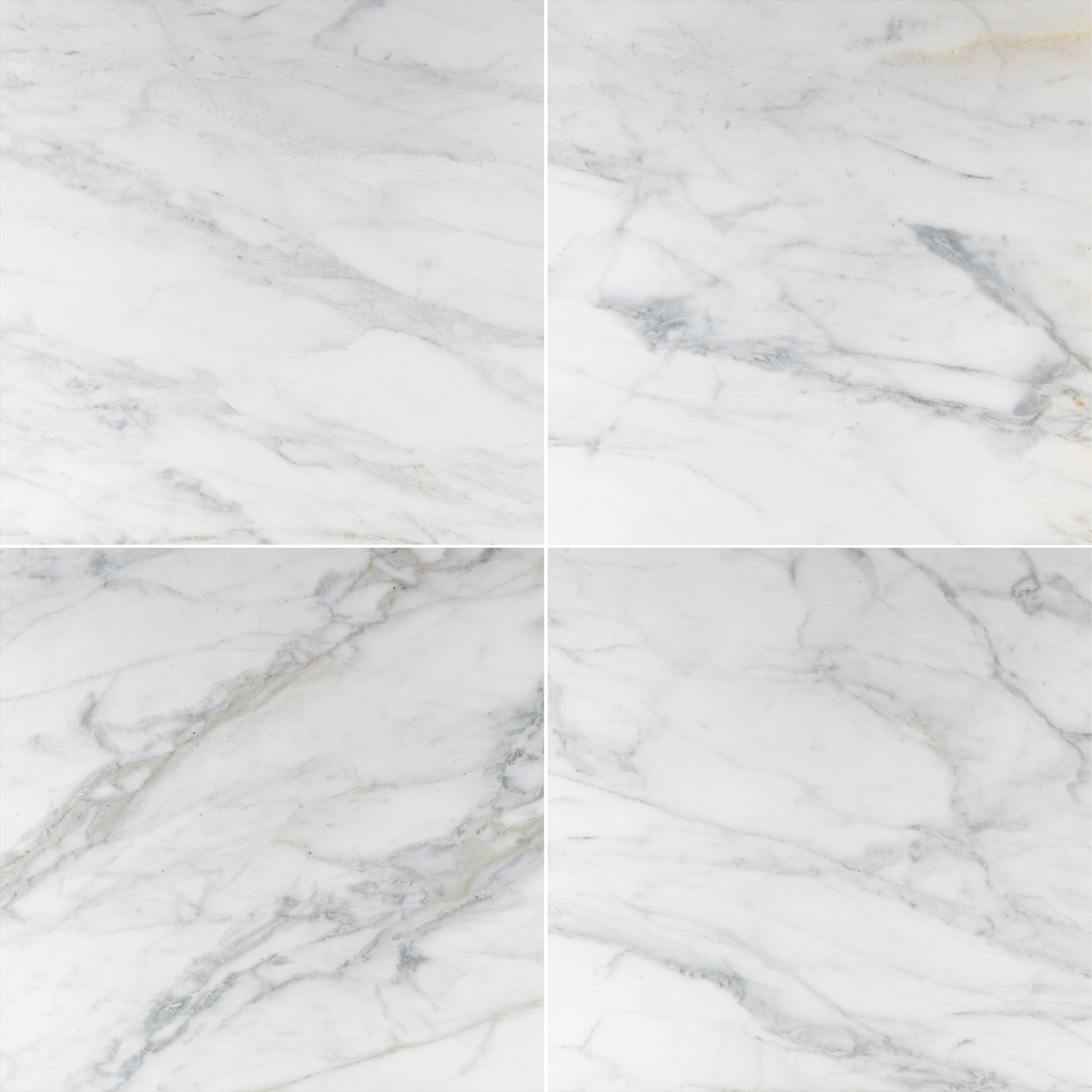 CALACATTA CALDIA: Field Tile (24"×24"×3/8" | polished)