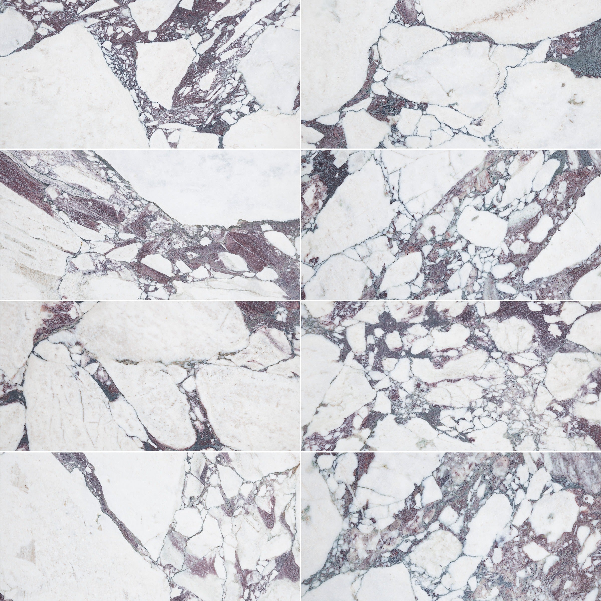 CALACATTA VIOLA: Field Tile (12"×24"×3/8" | polished)